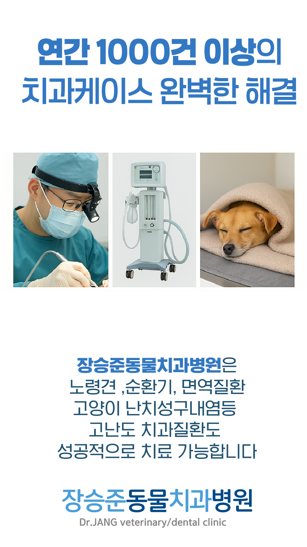 장승준동물치과병원 대표 이미지