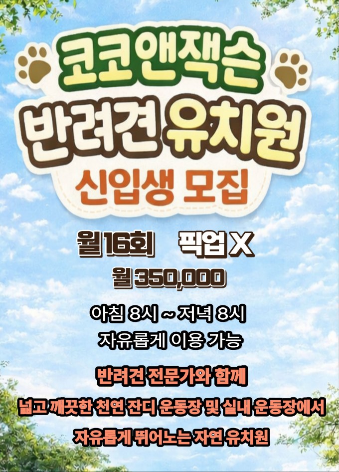 코코앤잭슨 반려동물 동반 애견카페
