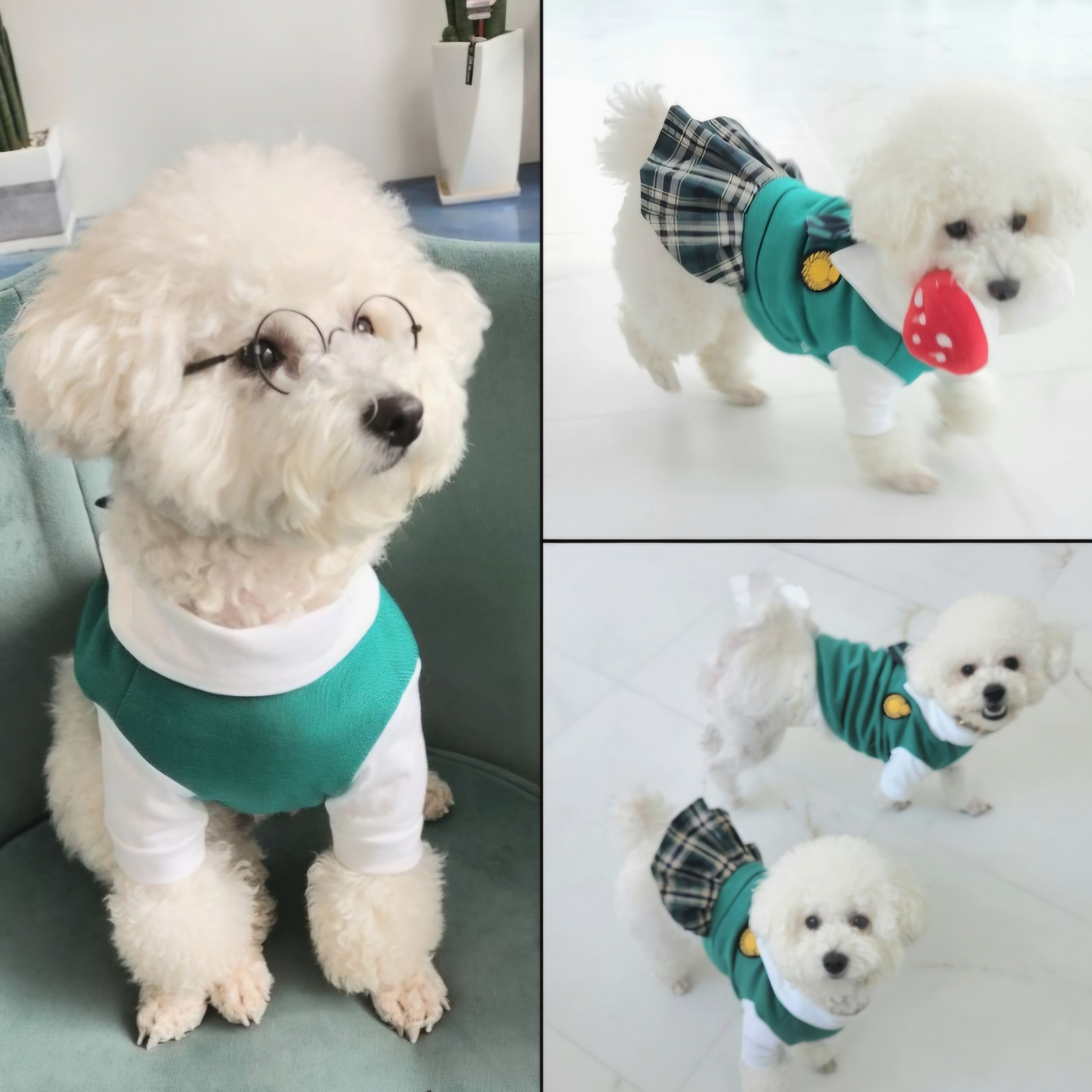 케어메이트 대표 이미지