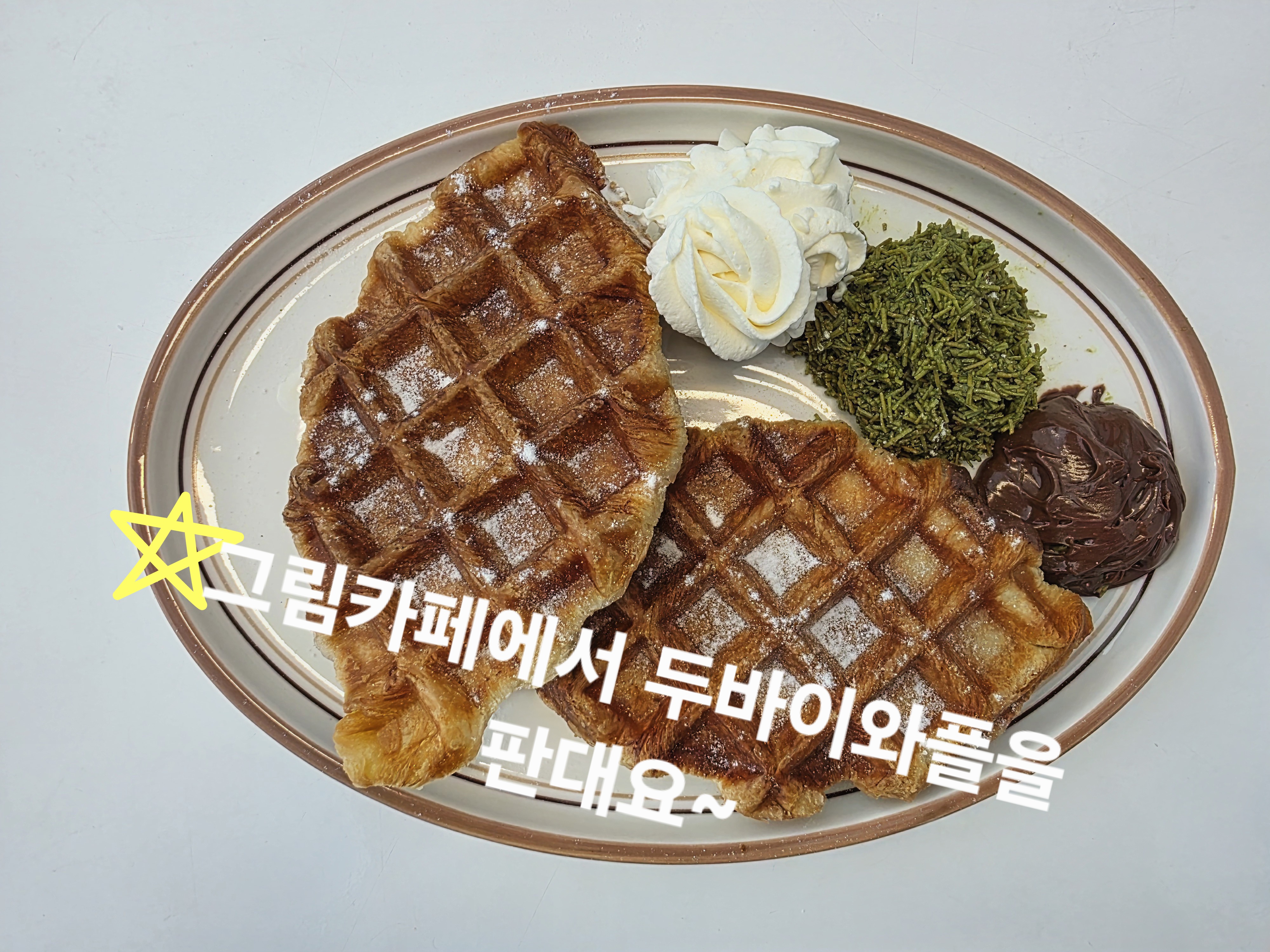 포댕 경상 애견맛집