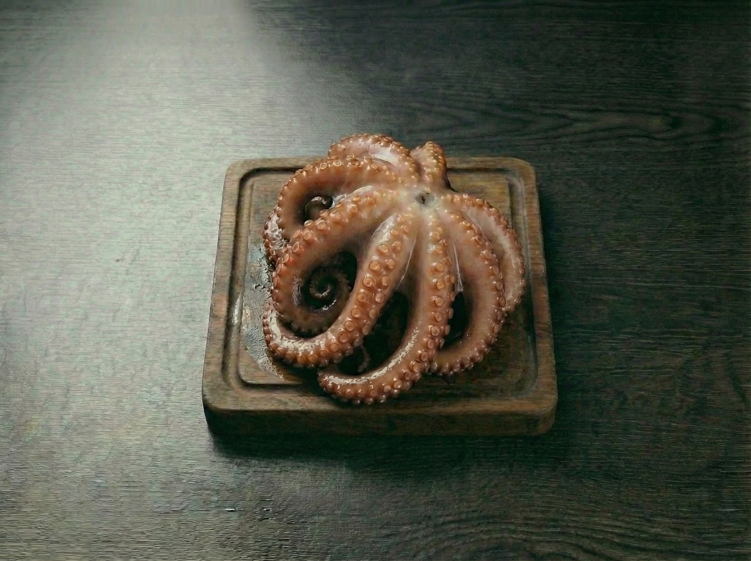 자숙문어 한마리(약 300~500g)