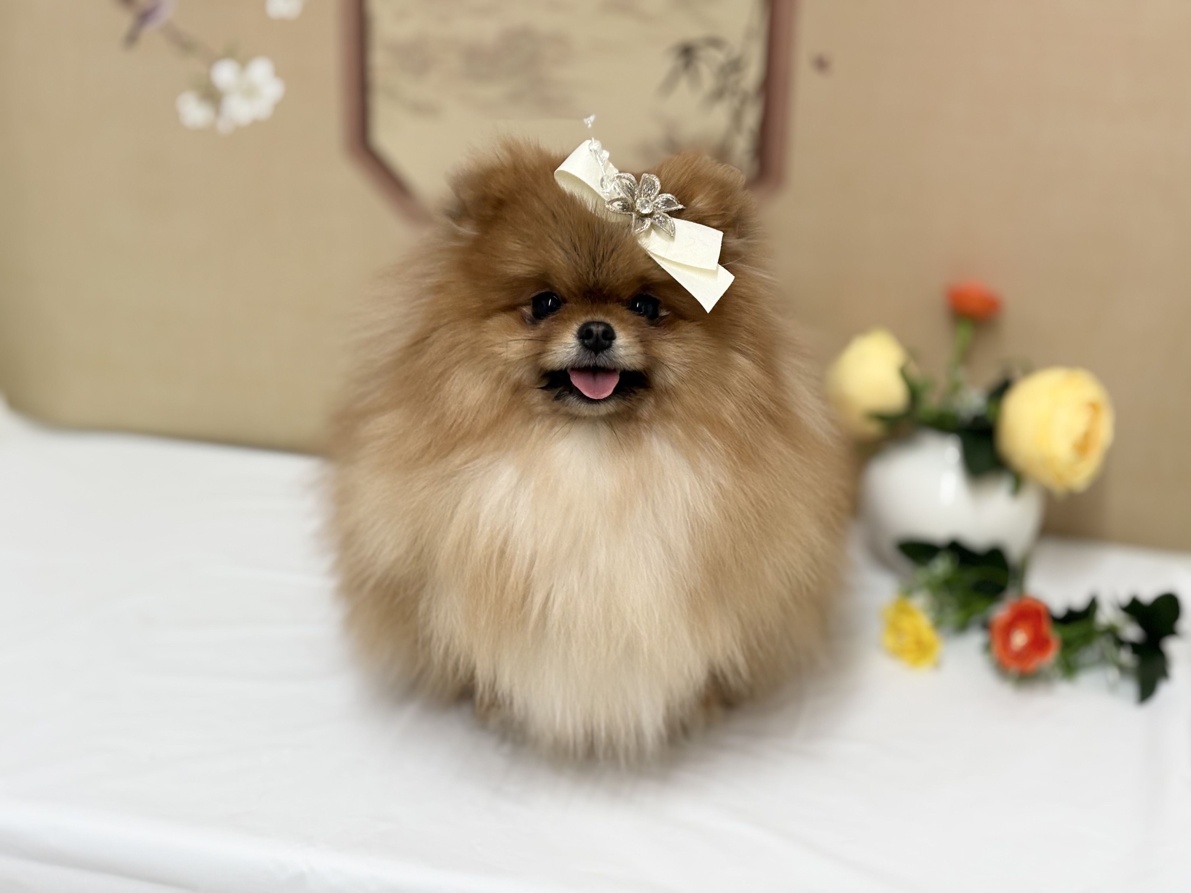 멈무목욕탕 대표 이미지