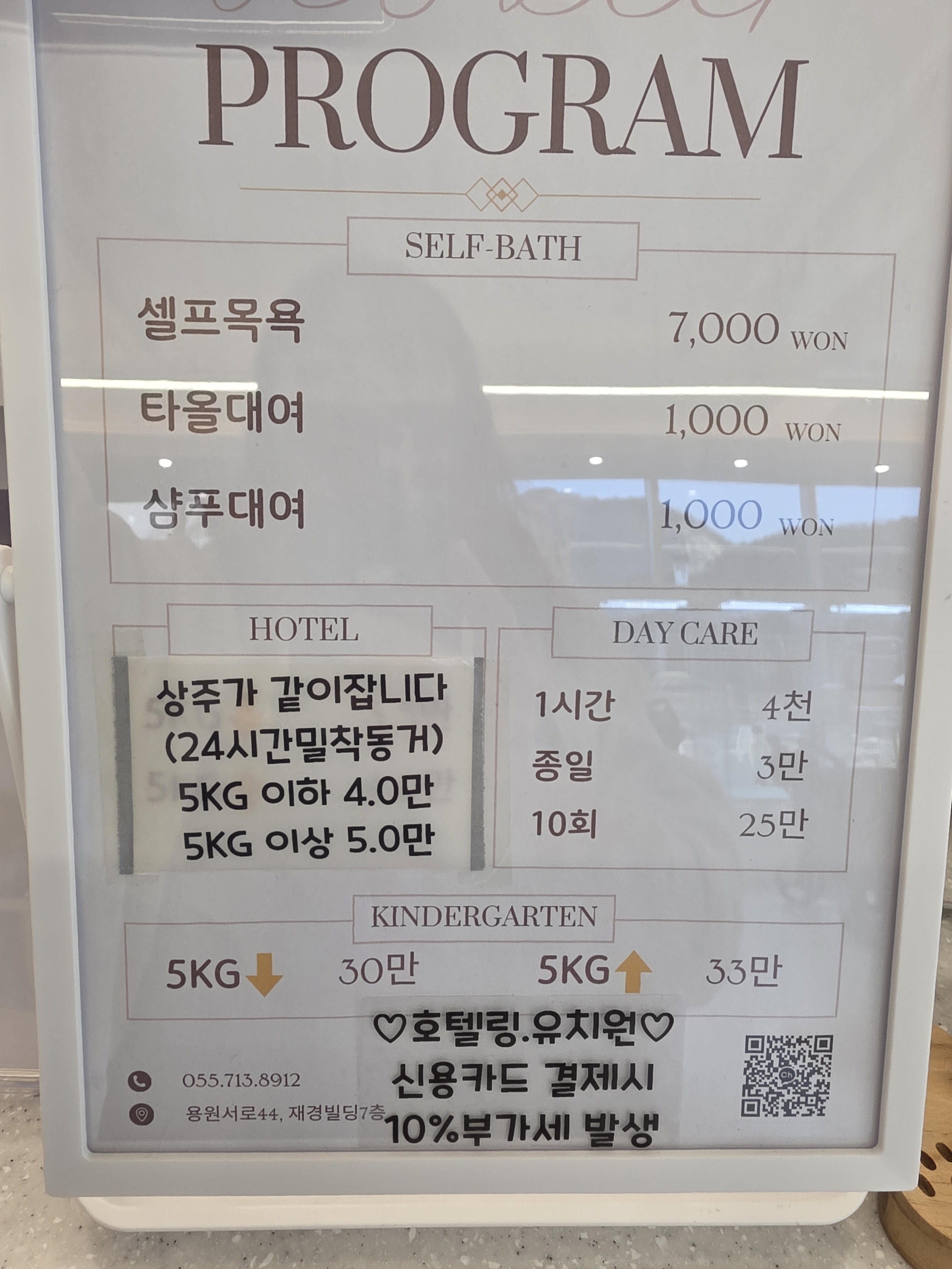 탑독애견카페 3