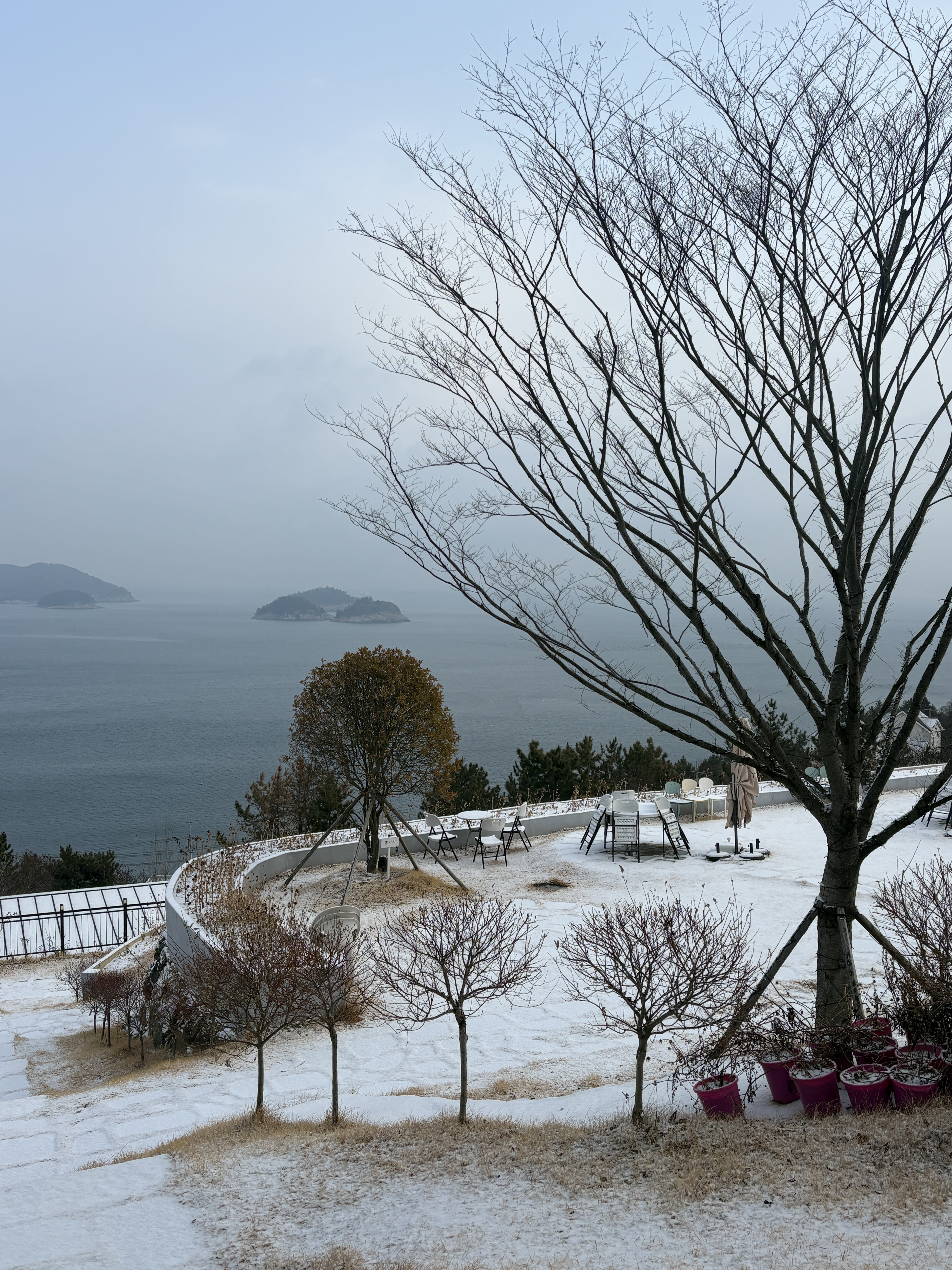 더 포레스트랜드 대표 이미지