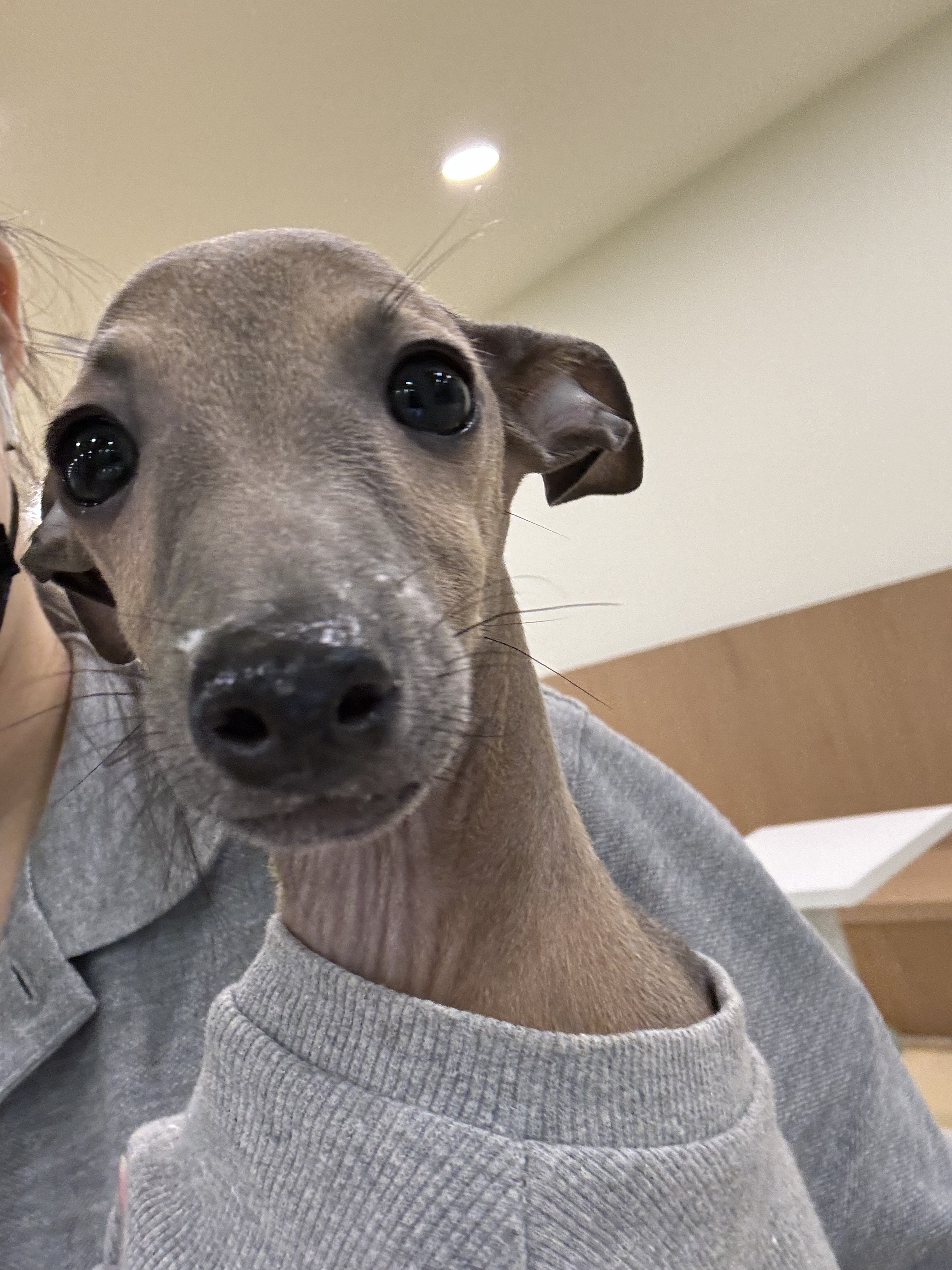 멍스냅 대표 이미지