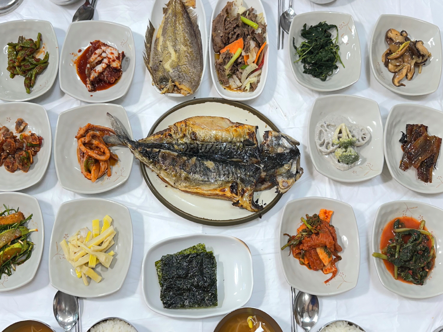 영심이백반 반려동물 동반 애견카페