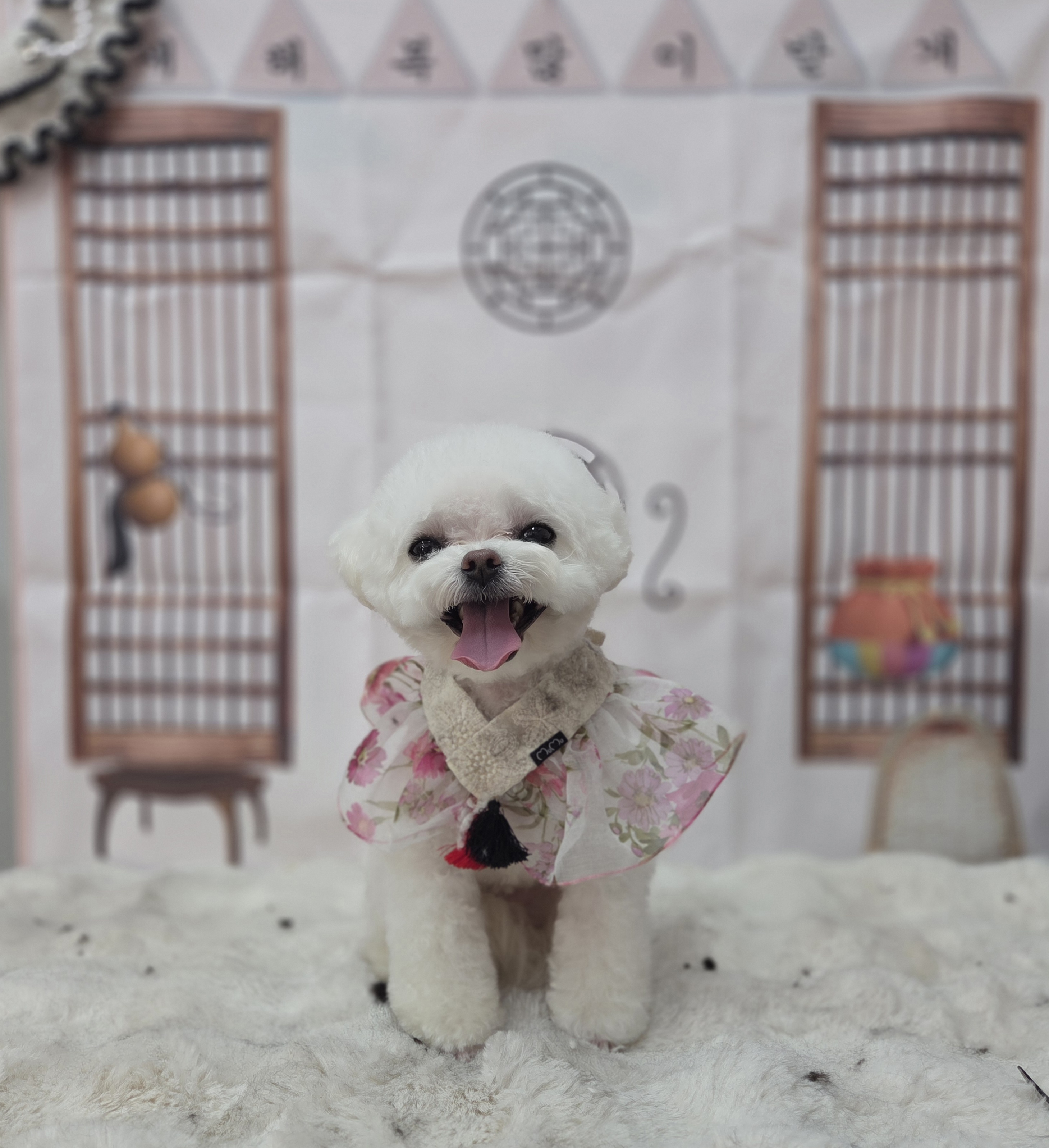 럽독 대표 이미지