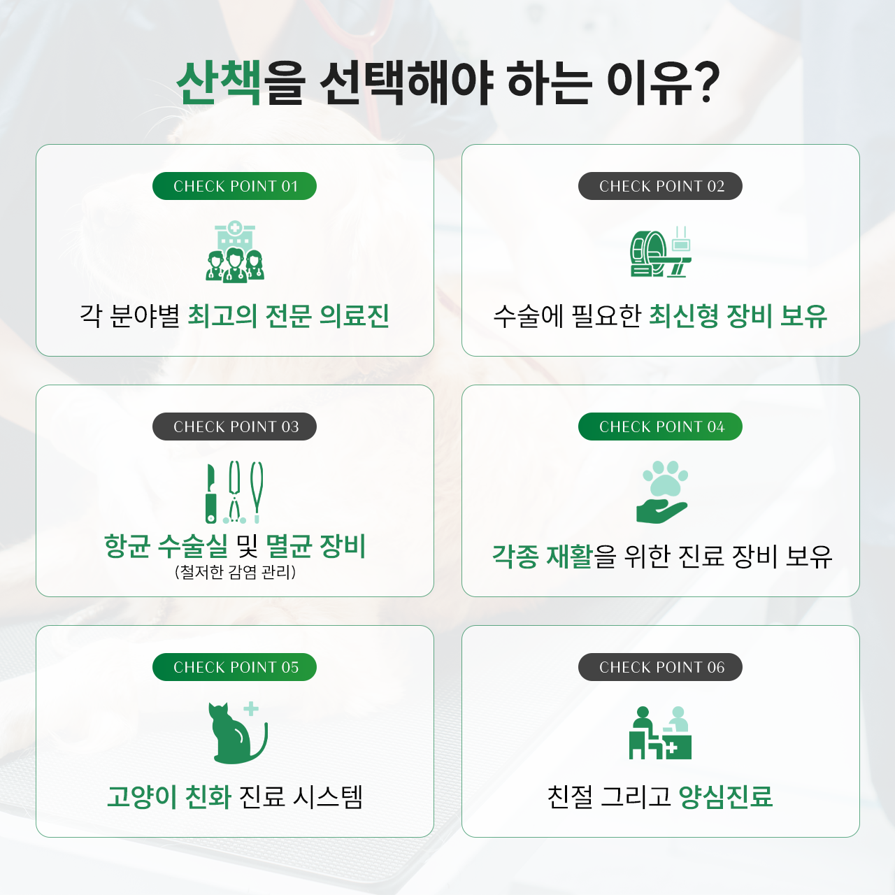 동물병원산책 대표 이미지