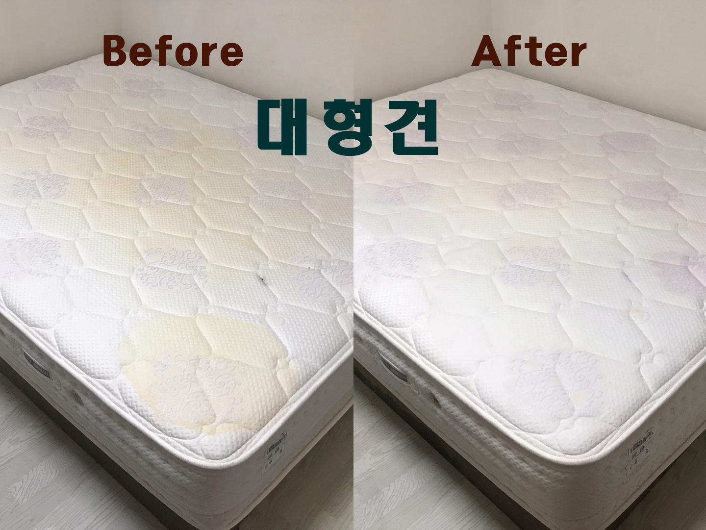 드림하우스닥터 대표 이미지