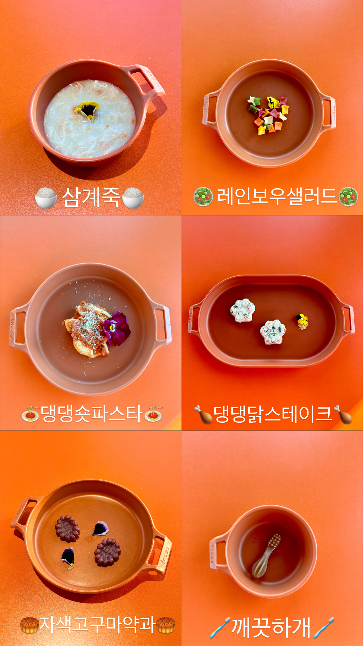 마실감 경상 애견맛집