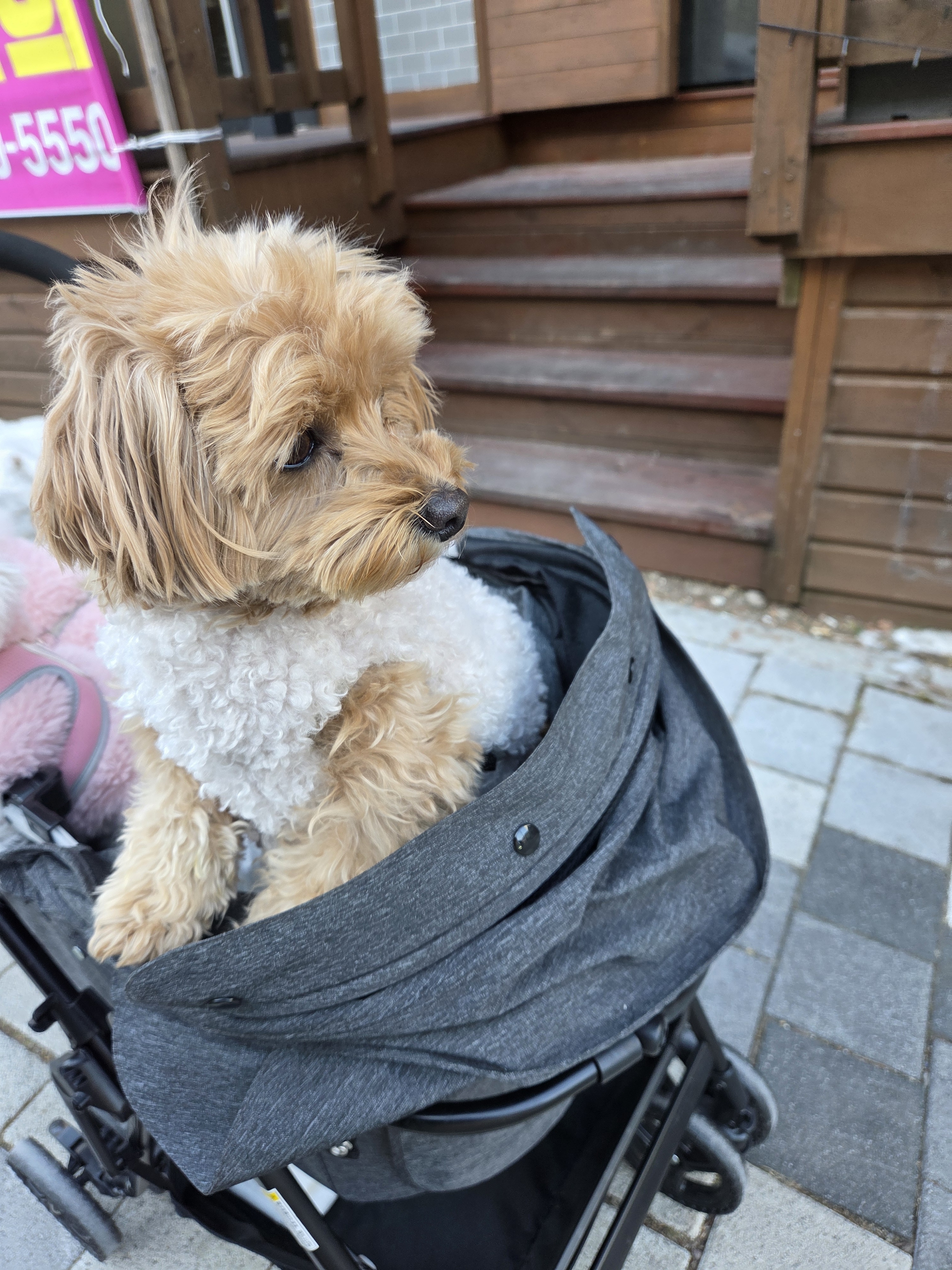 호텔 뭉 대표 이미지