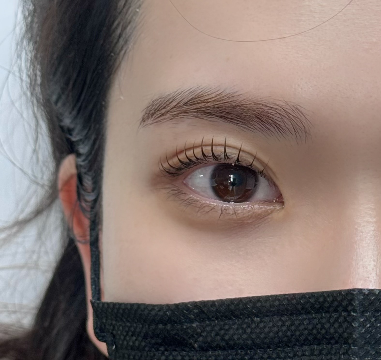래쉬포유 대표 이미지