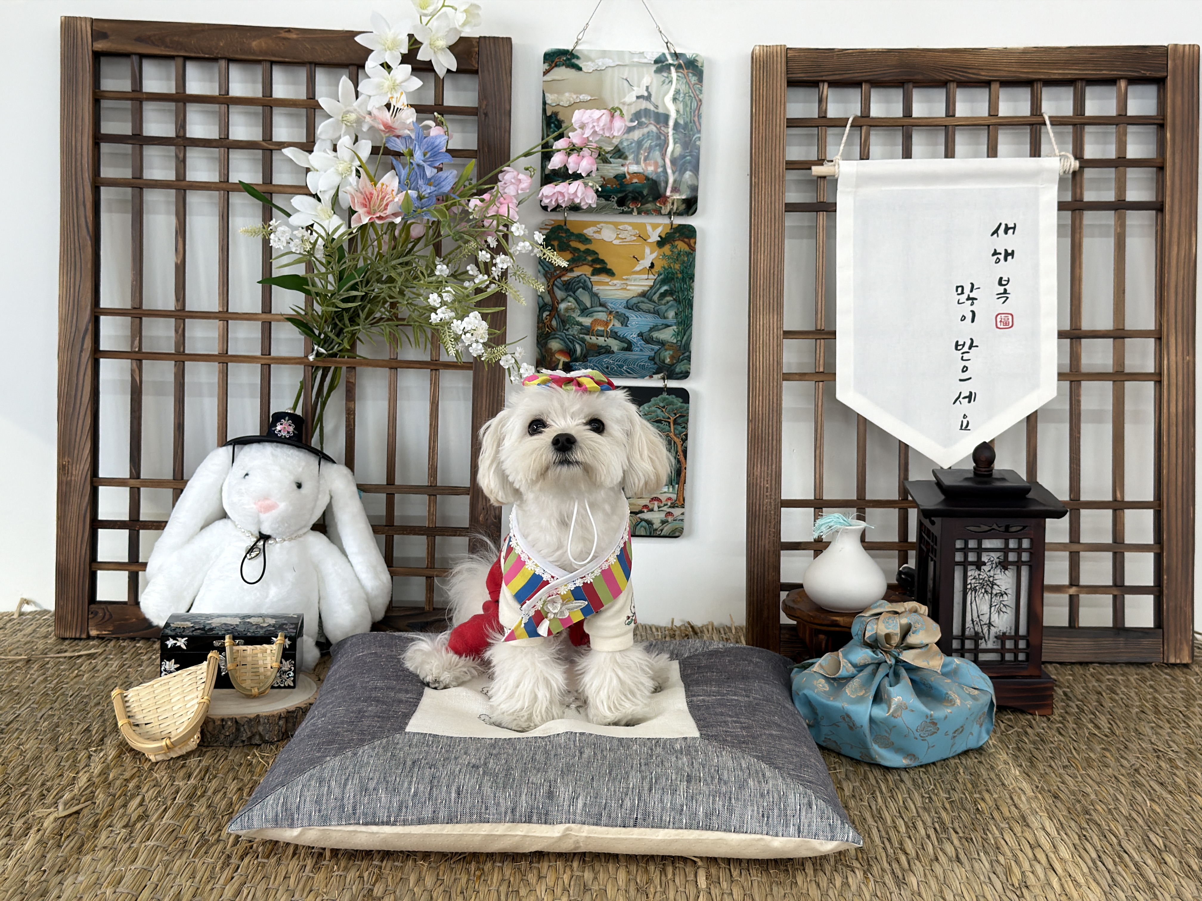 사진 5