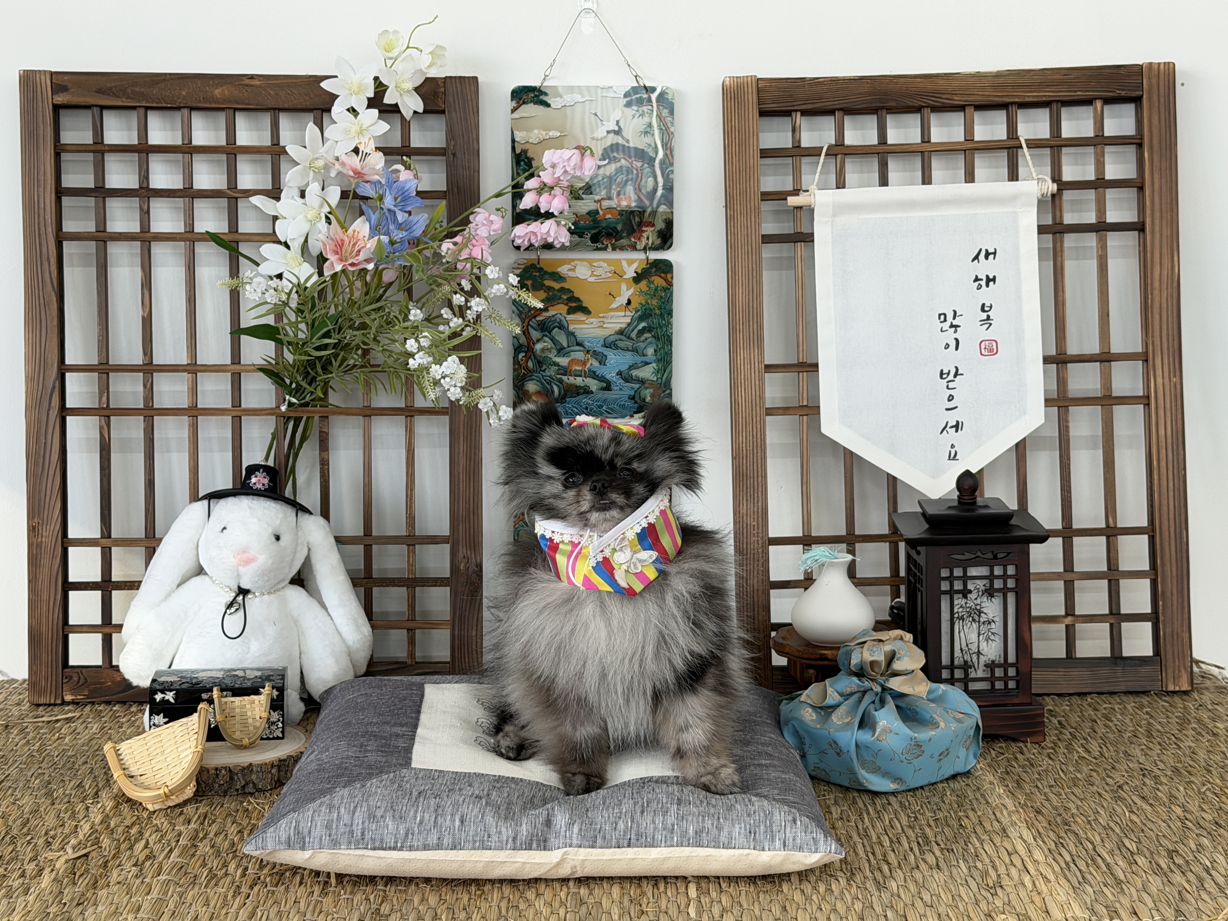 사진 4