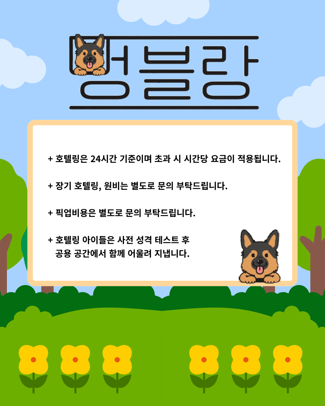 멍설유치원 반려동물 동반 애견카페