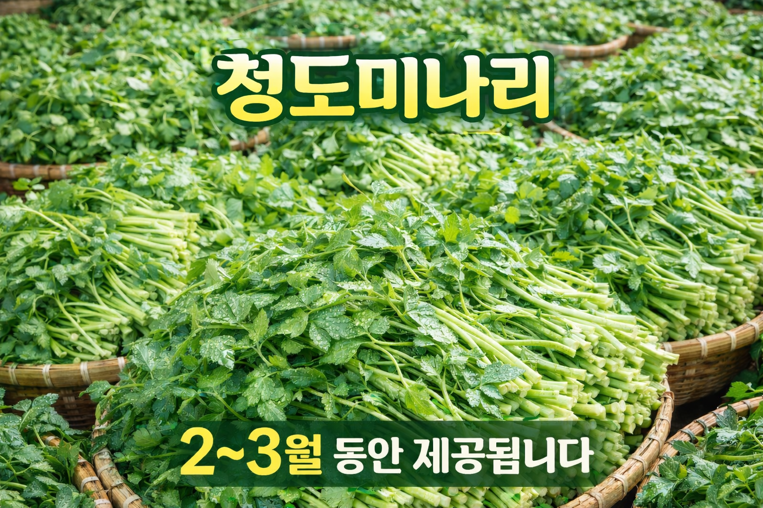 임대장 대구동성로점