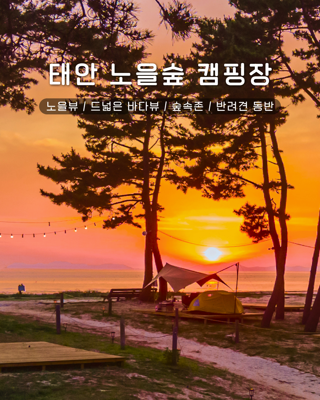 노을숲캠핑장