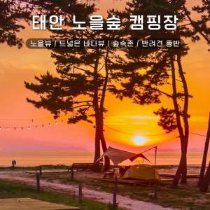 노을숲캠핑장