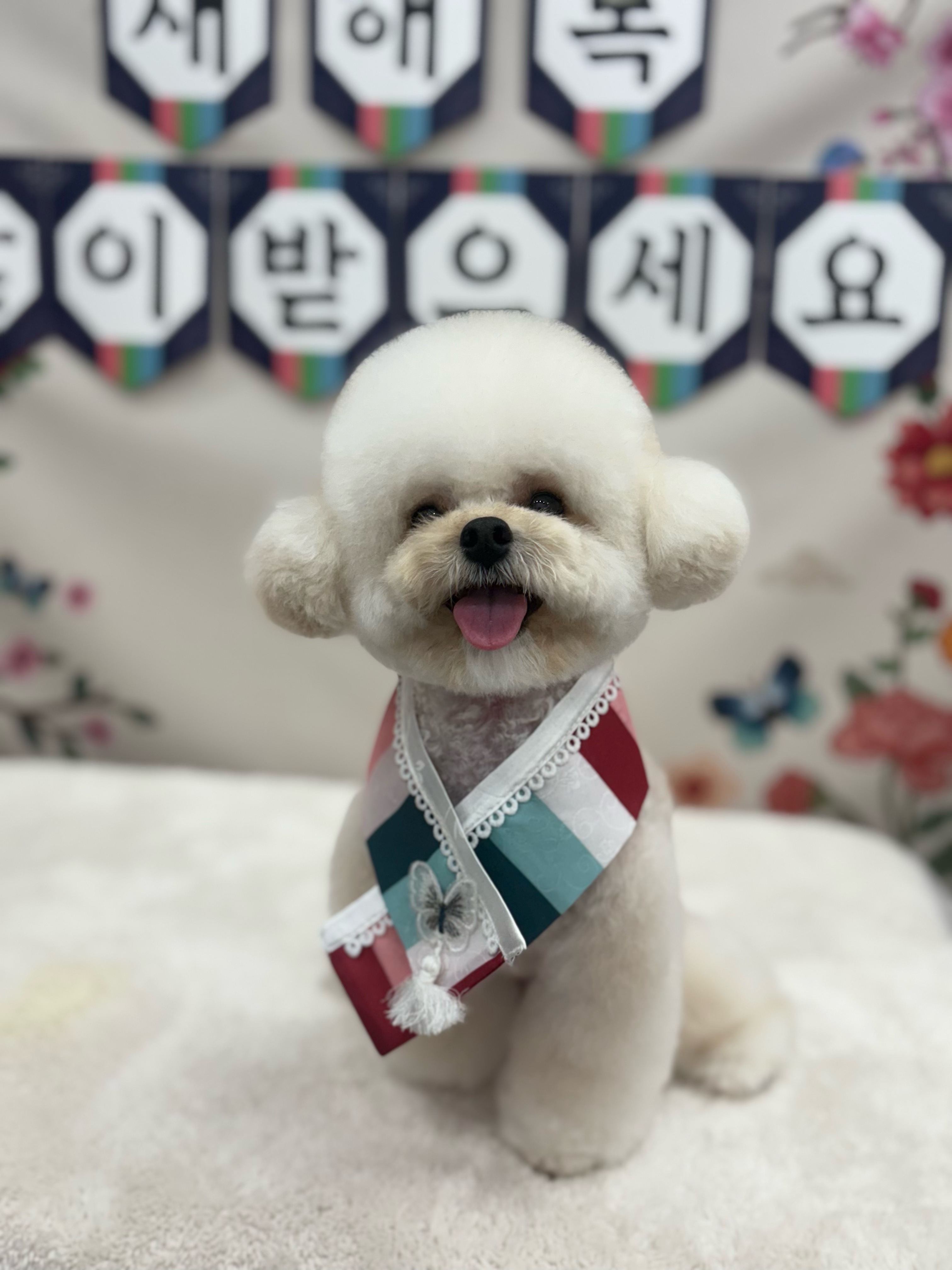 비비몽 대표 이미지