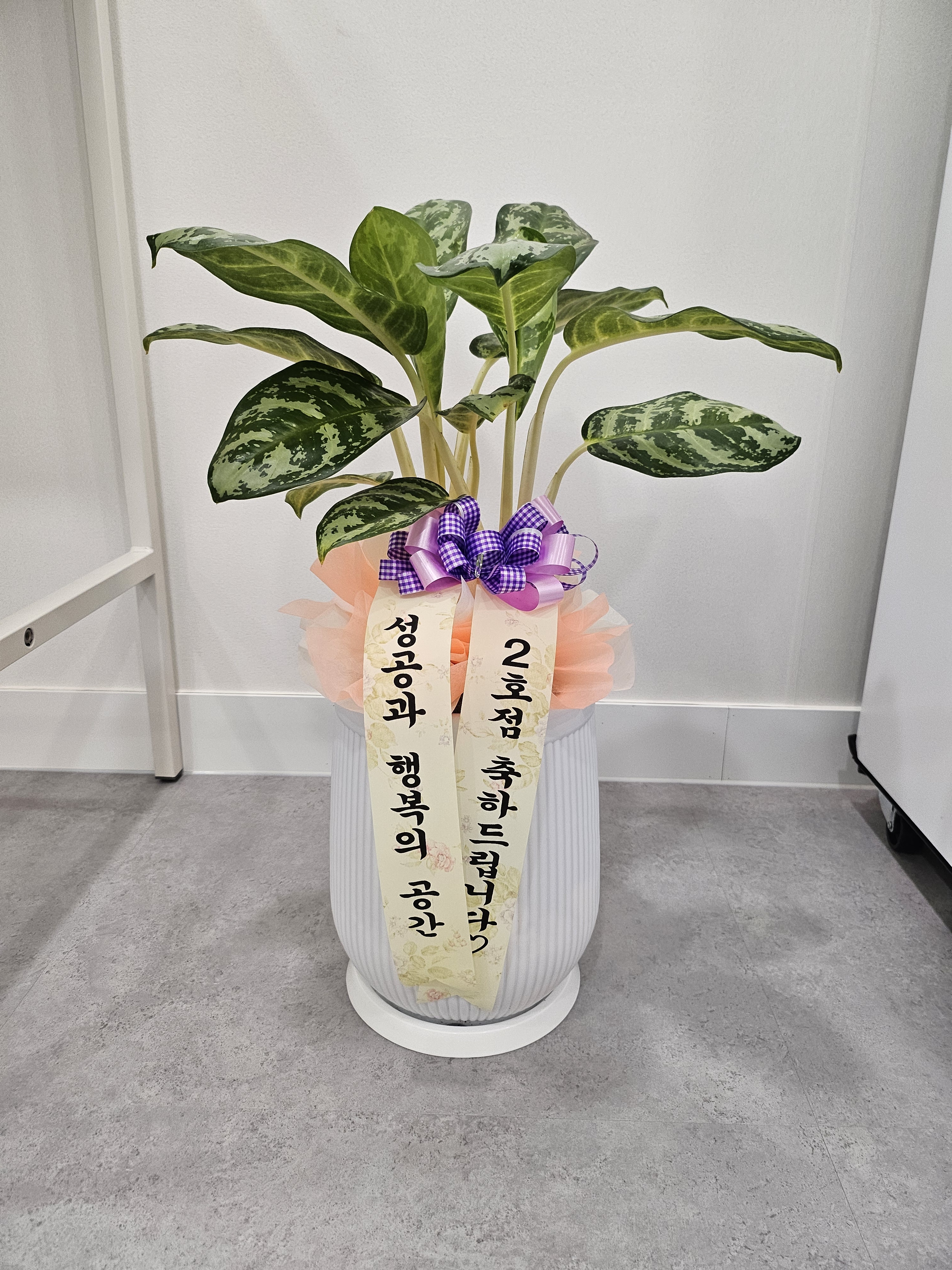 업체사진