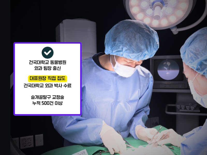 동물병원산책 대표 이미지