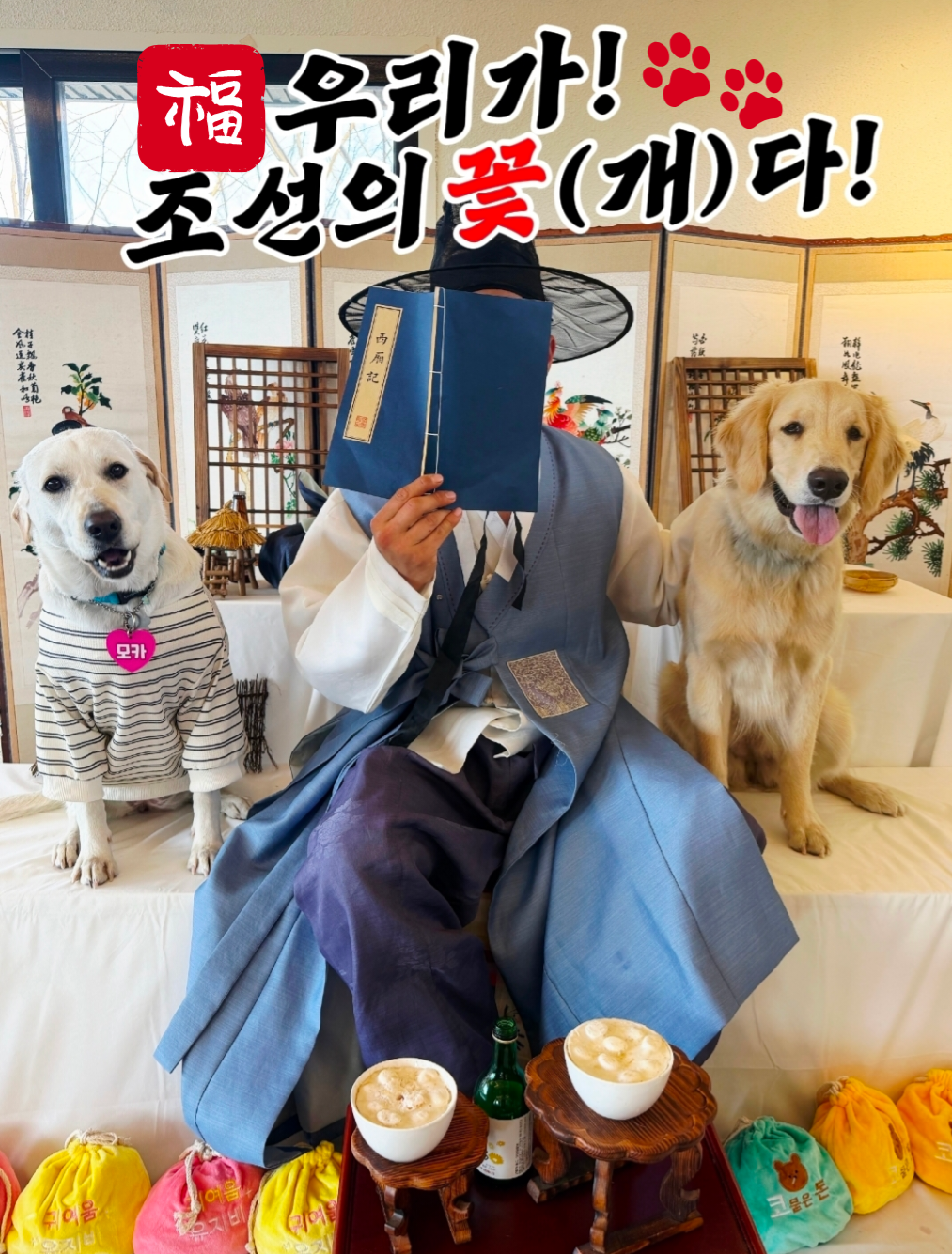 멍리버 반려동물 동반 애견카페