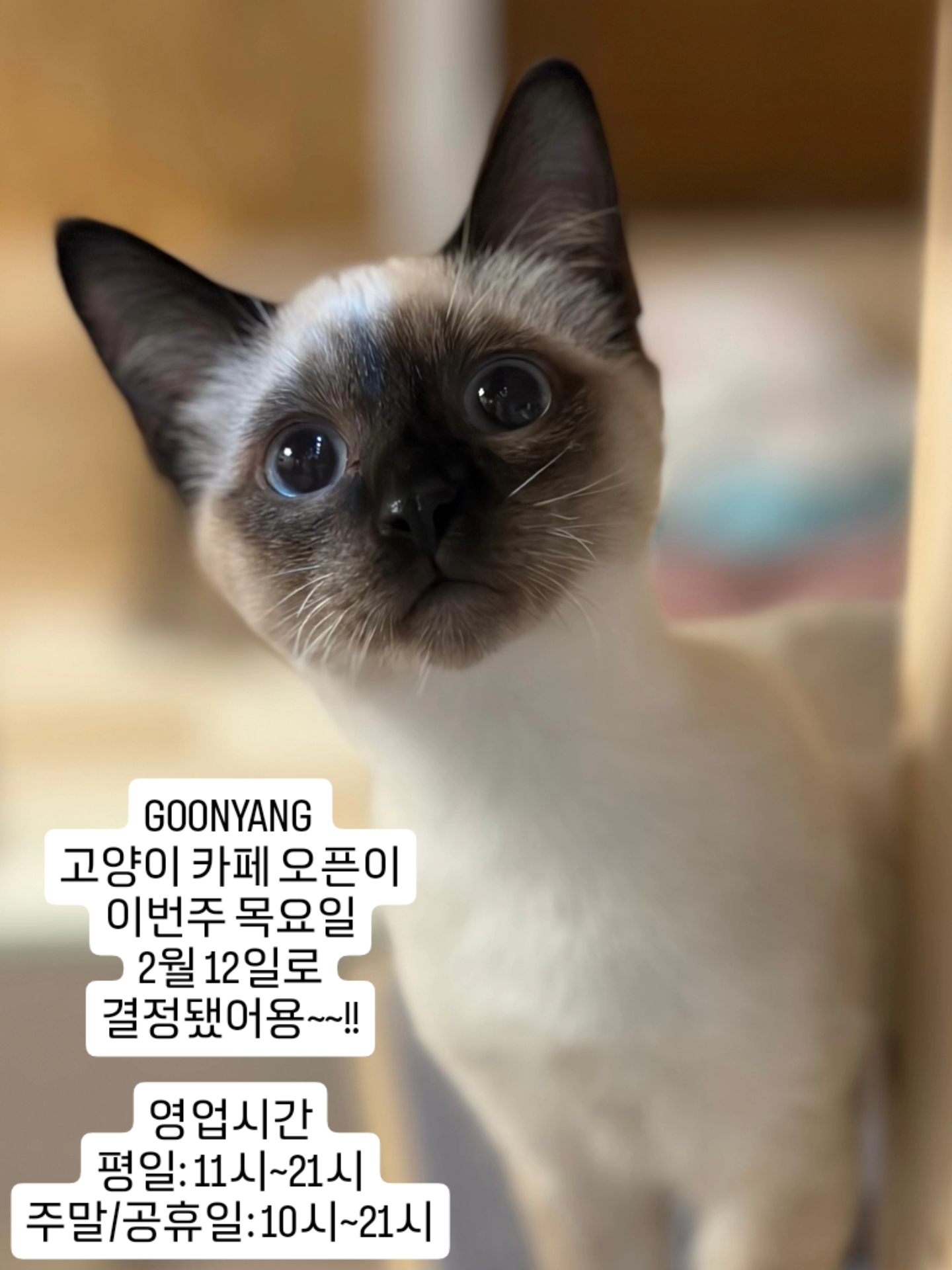 사진 4