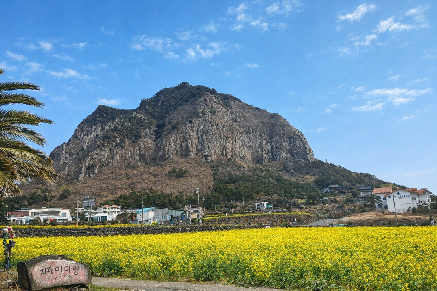 짜이다방_작고느린 짜이집