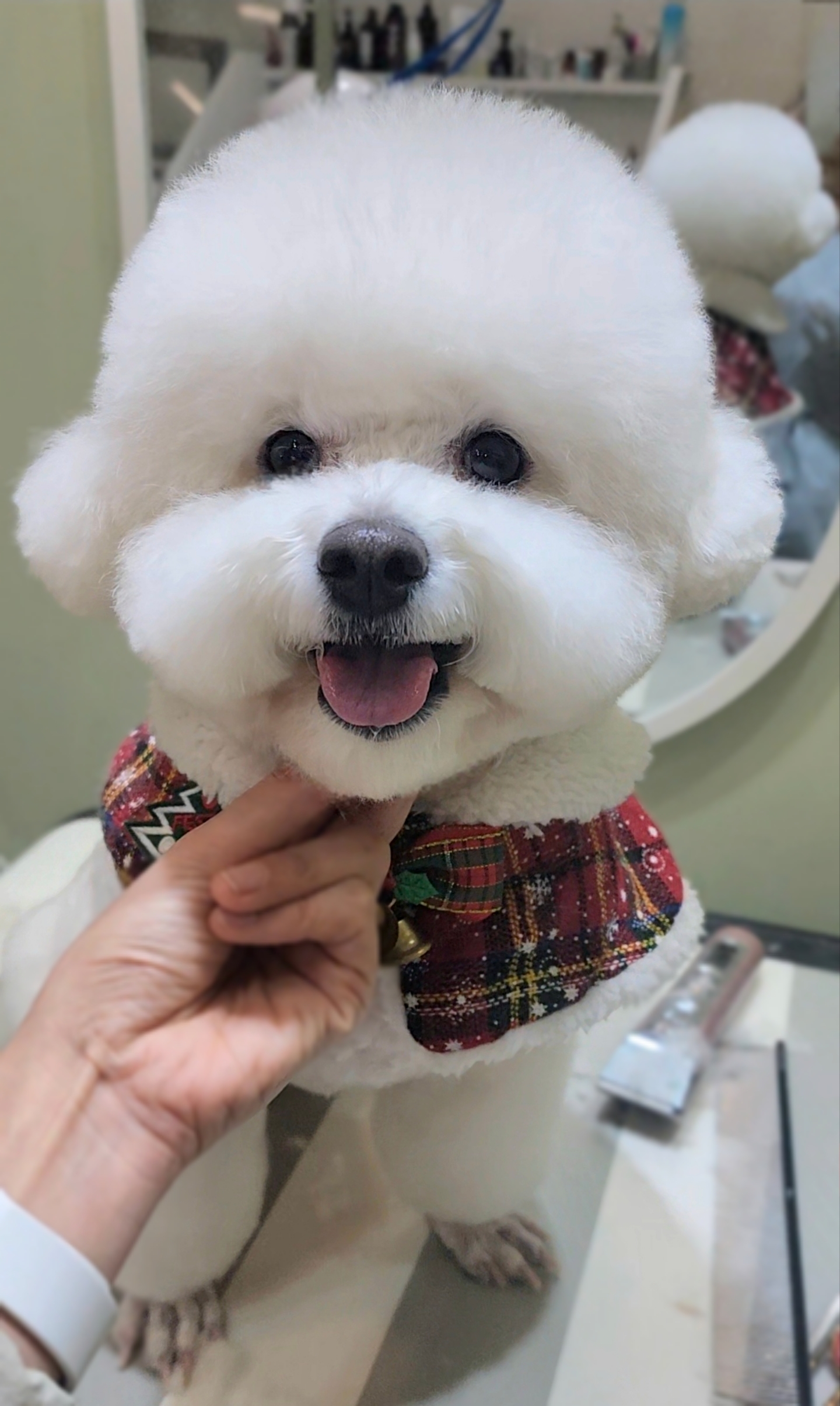 그루밍스토리 대표 이미지