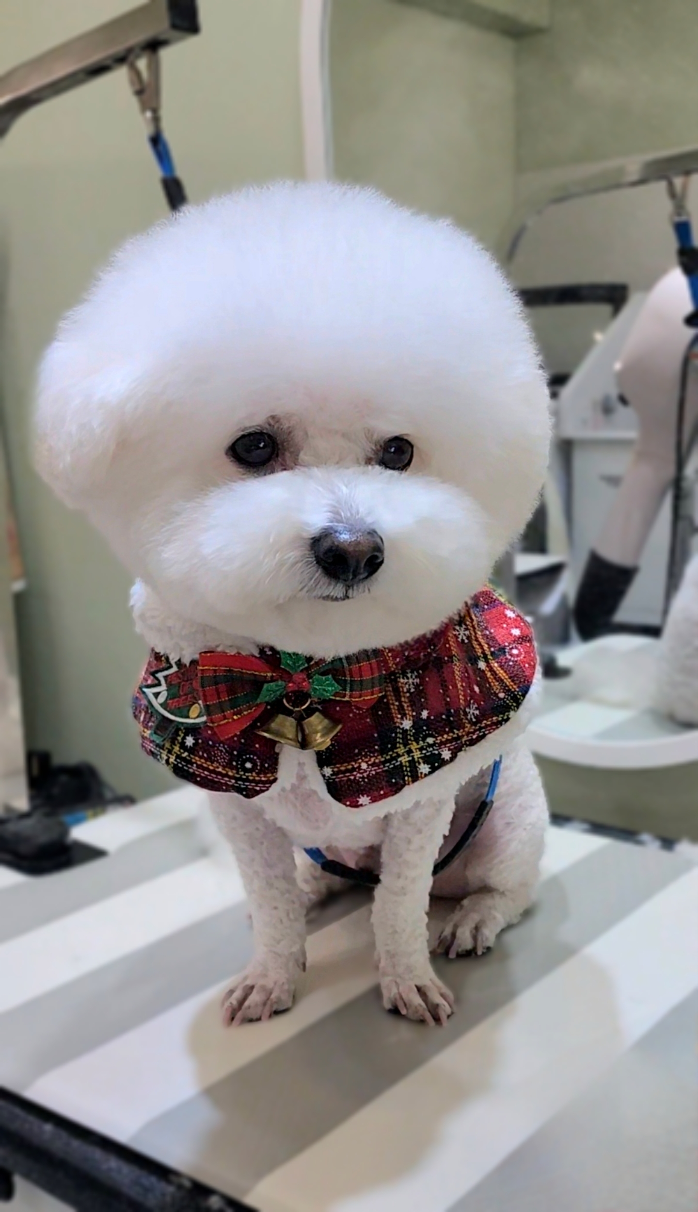 그루밍스토리 대표 이미지