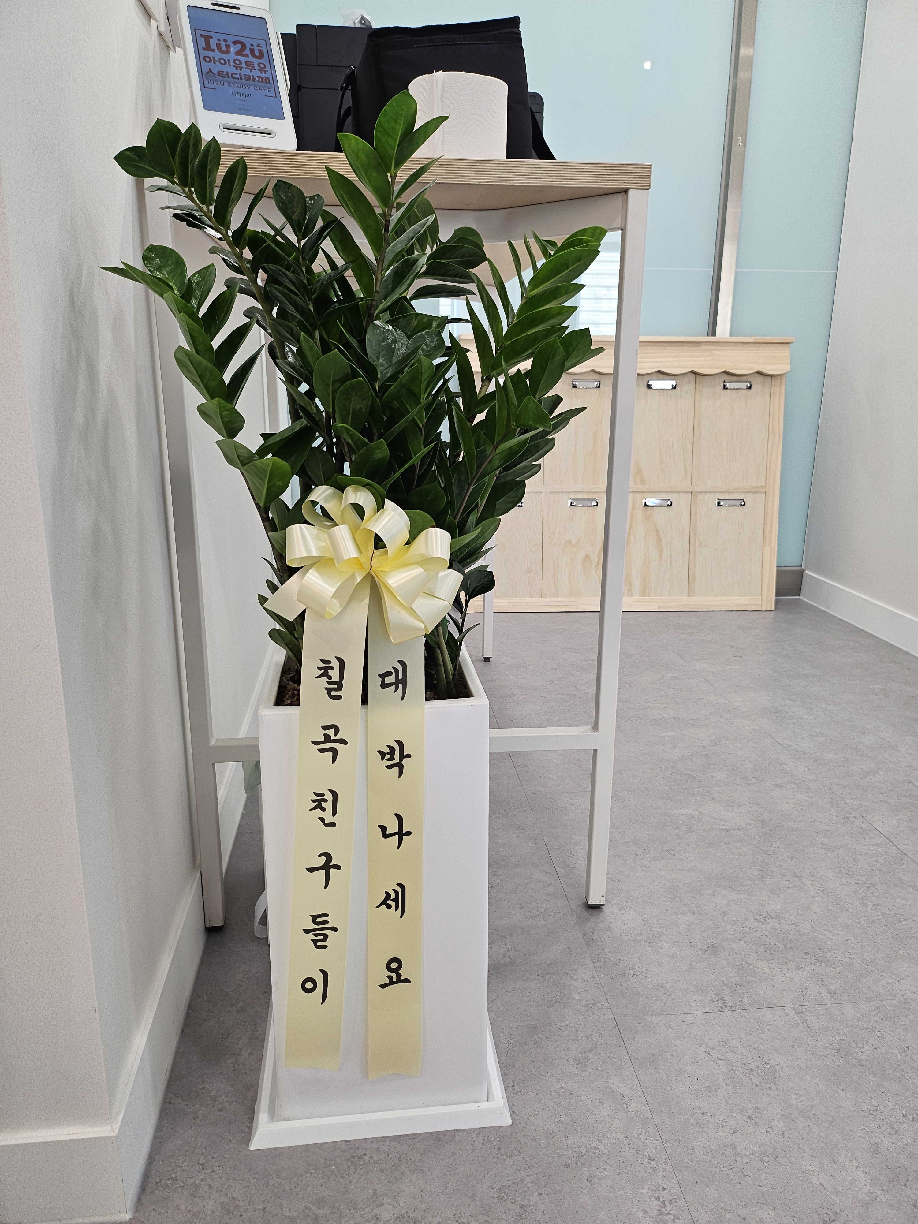 업체사진