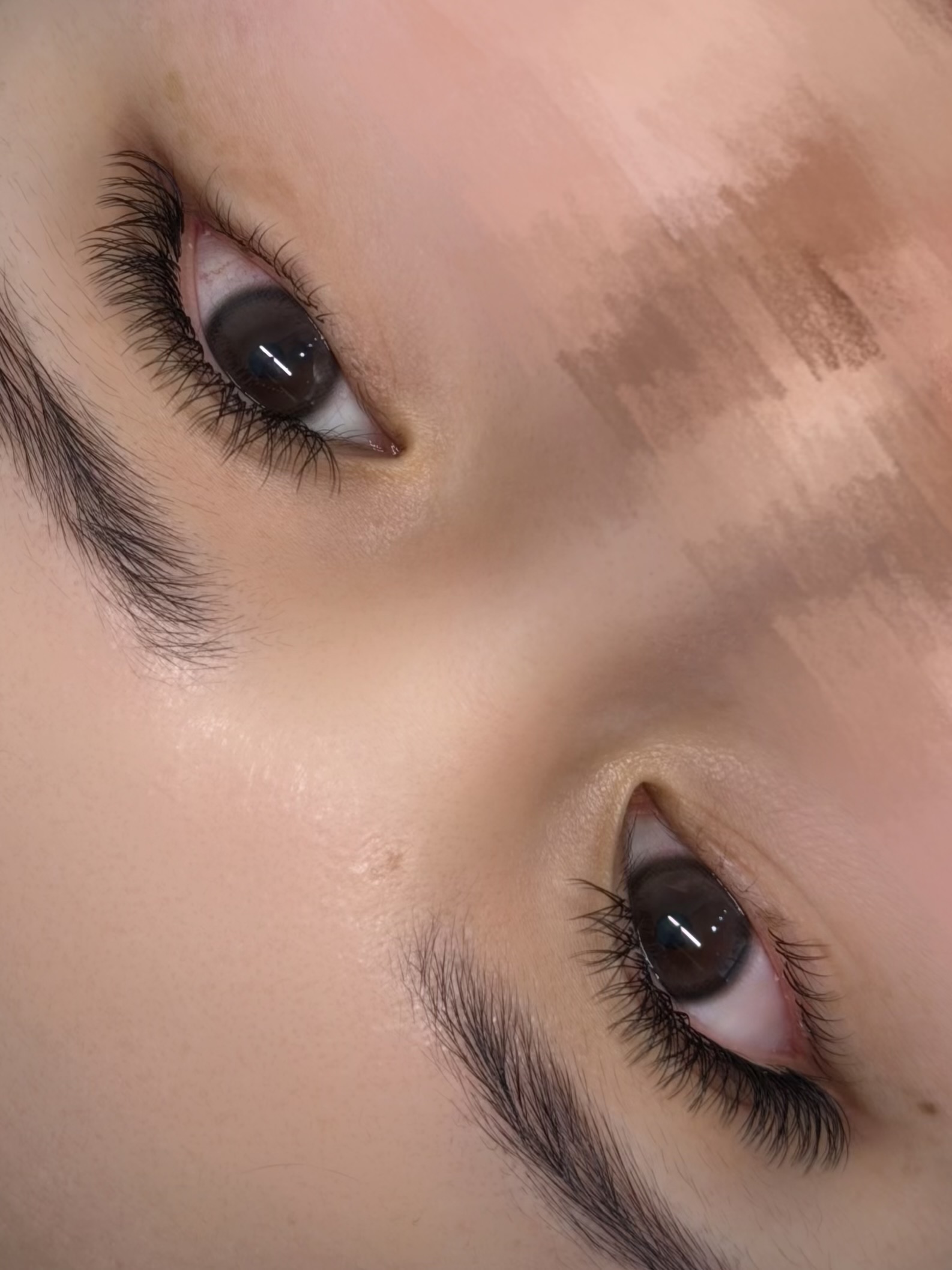 포쉬래쉬 대표 이미지