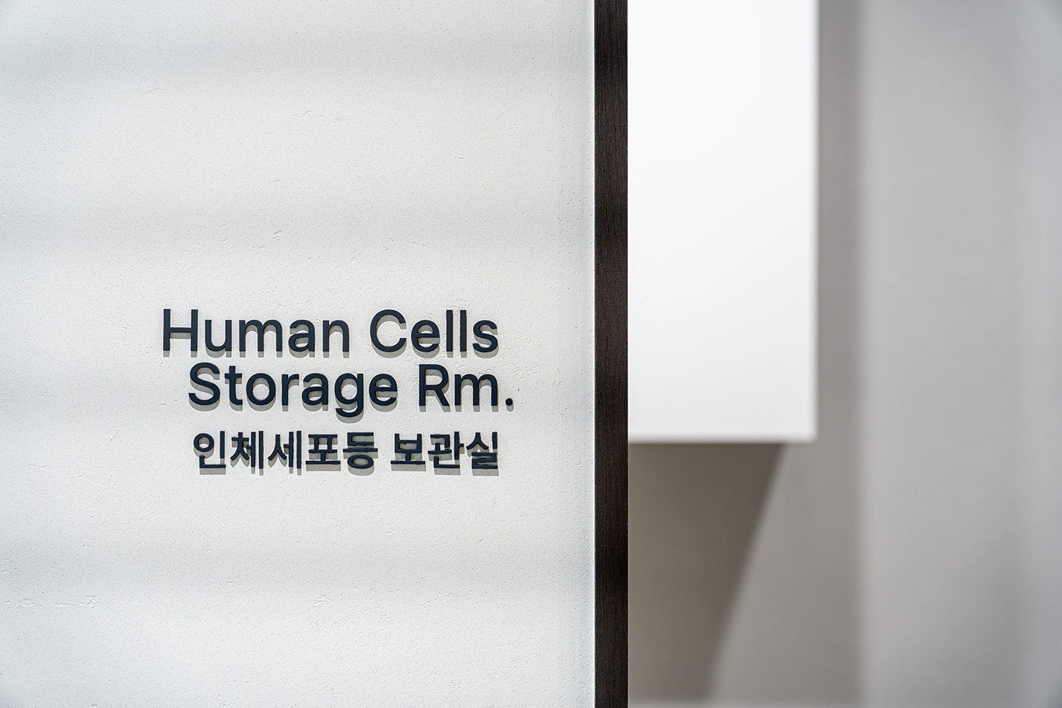 명동비엘에스 대표 이미지