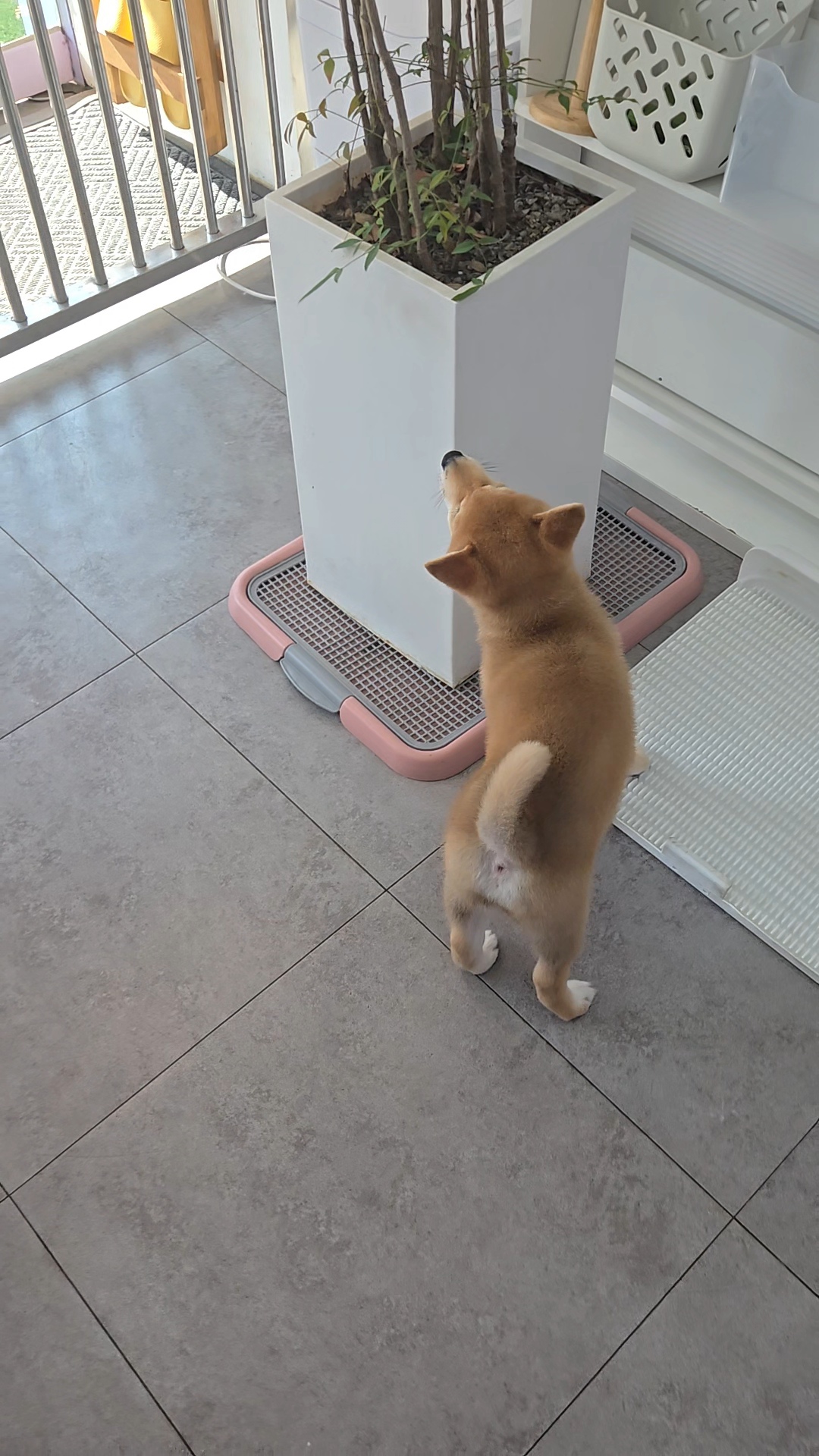 꾸앤쏭 대표 이미지