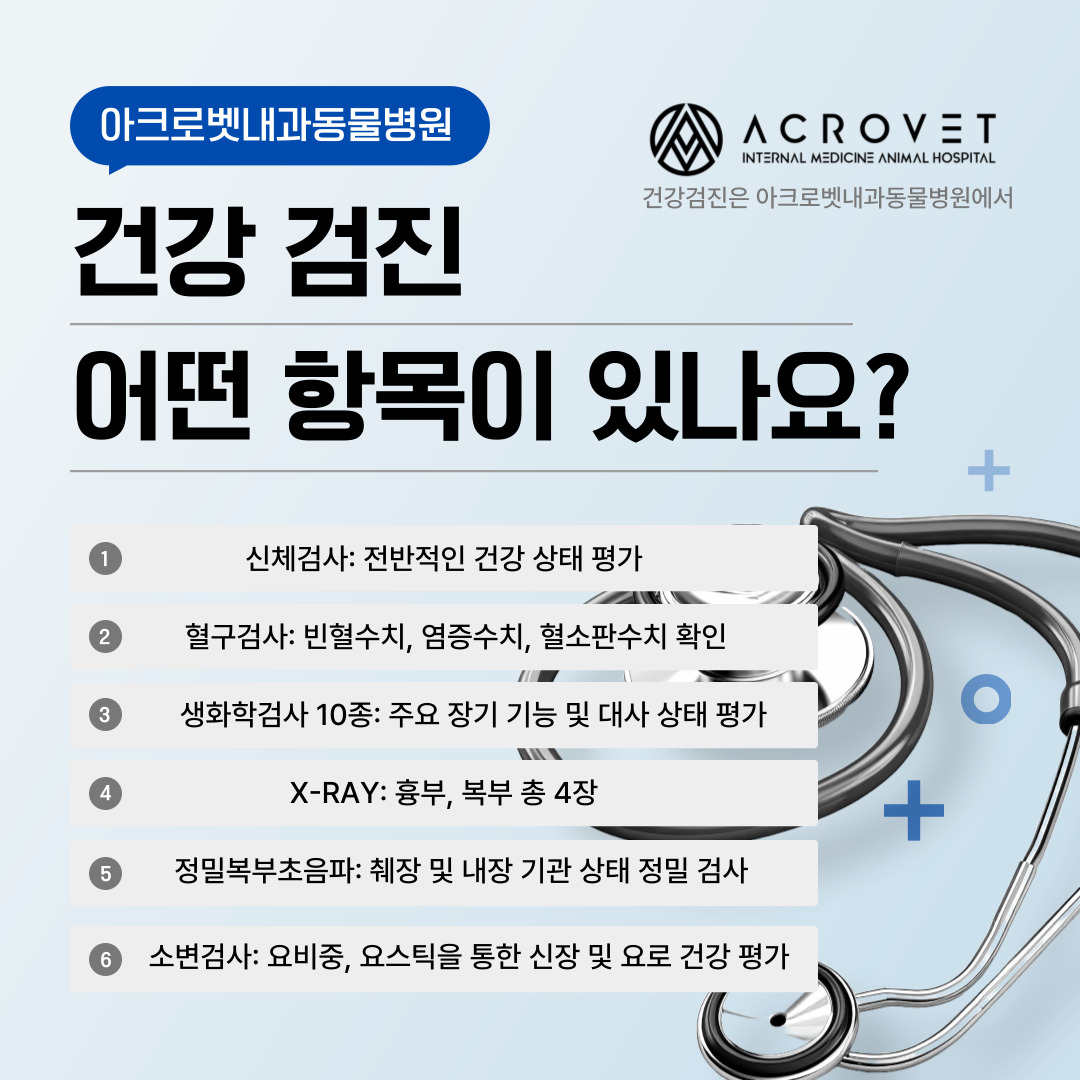 아크로벳내과동물병원 대표 이미지