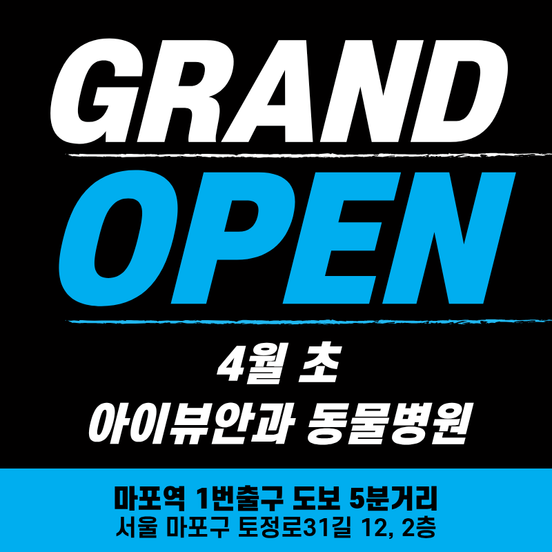 마포아이뷰안과동물병원 대표 이미지