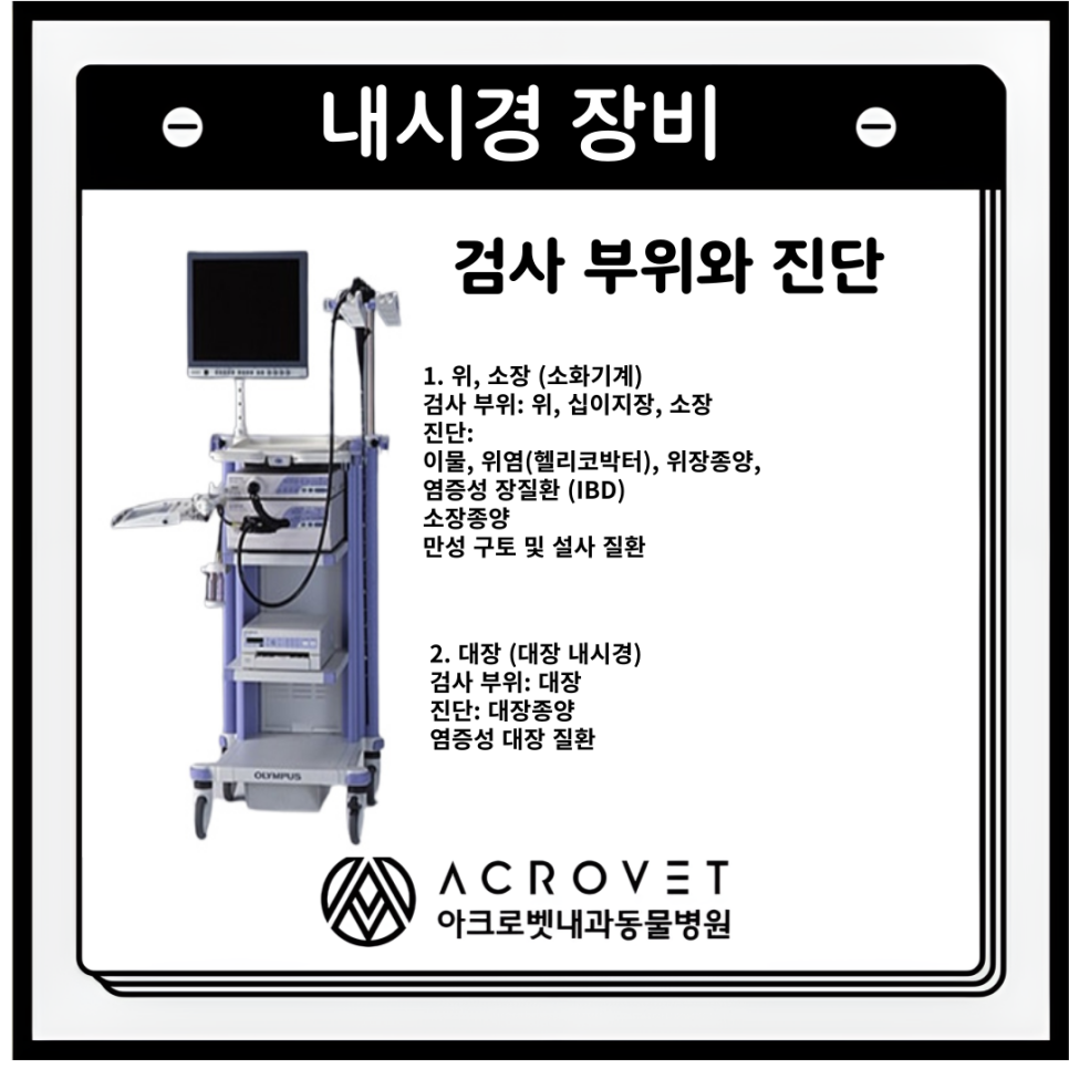 아크로벳내과동물병원 대표 이미지