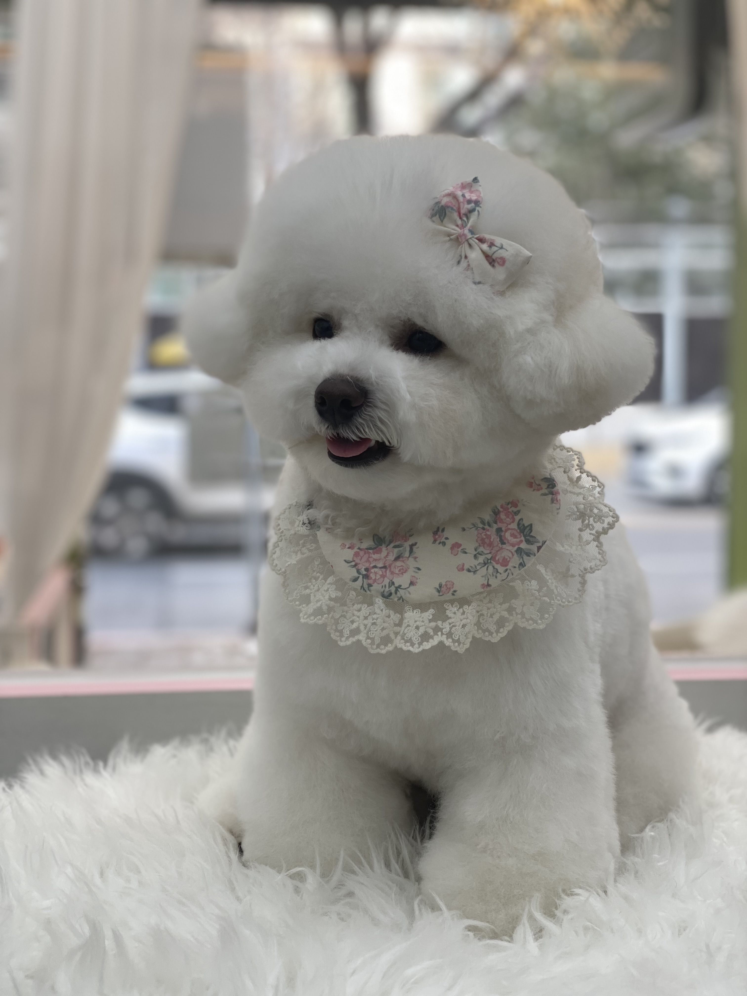 사진 3