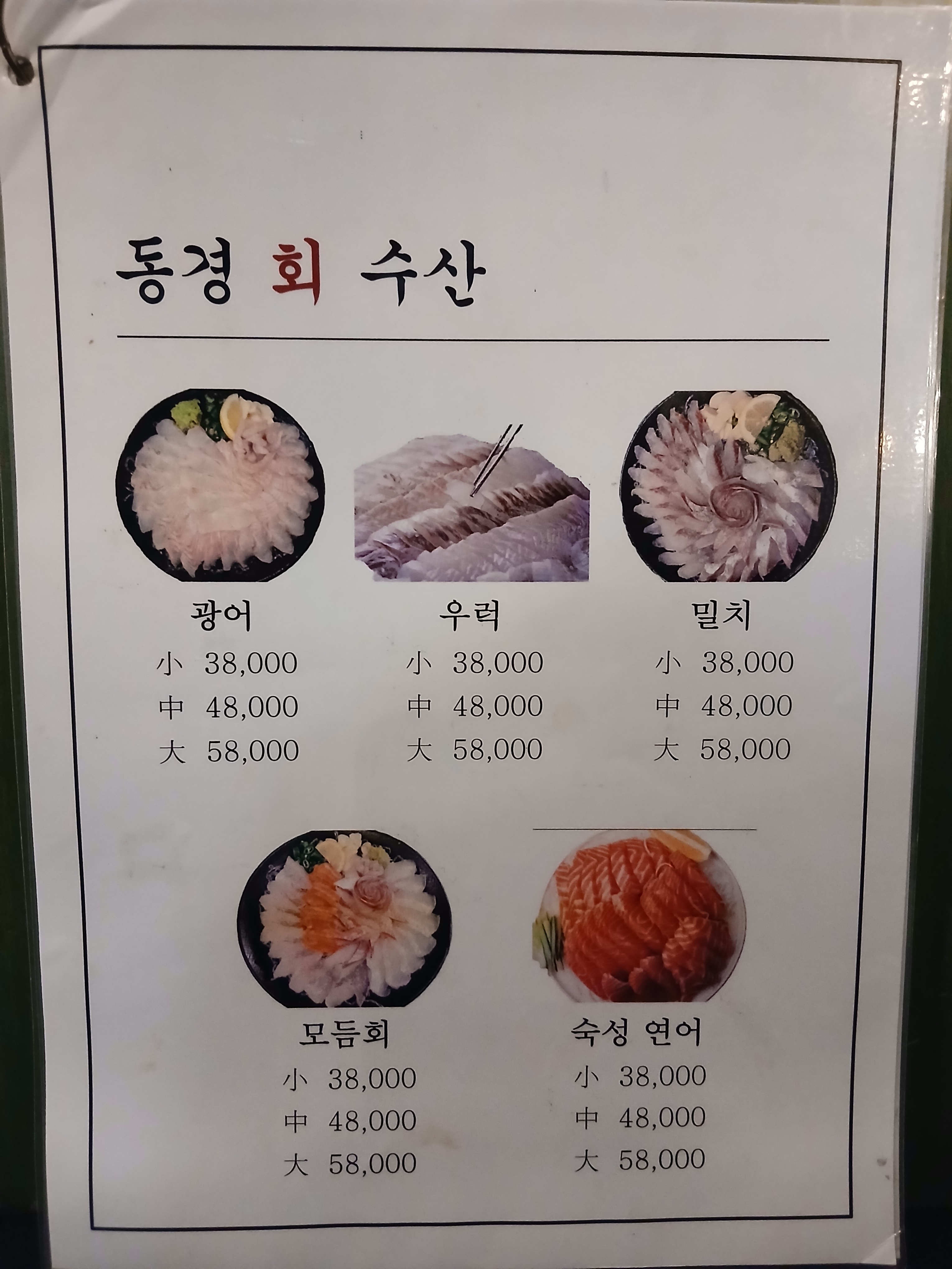 동경회수산 반려동물 동반 애견카페