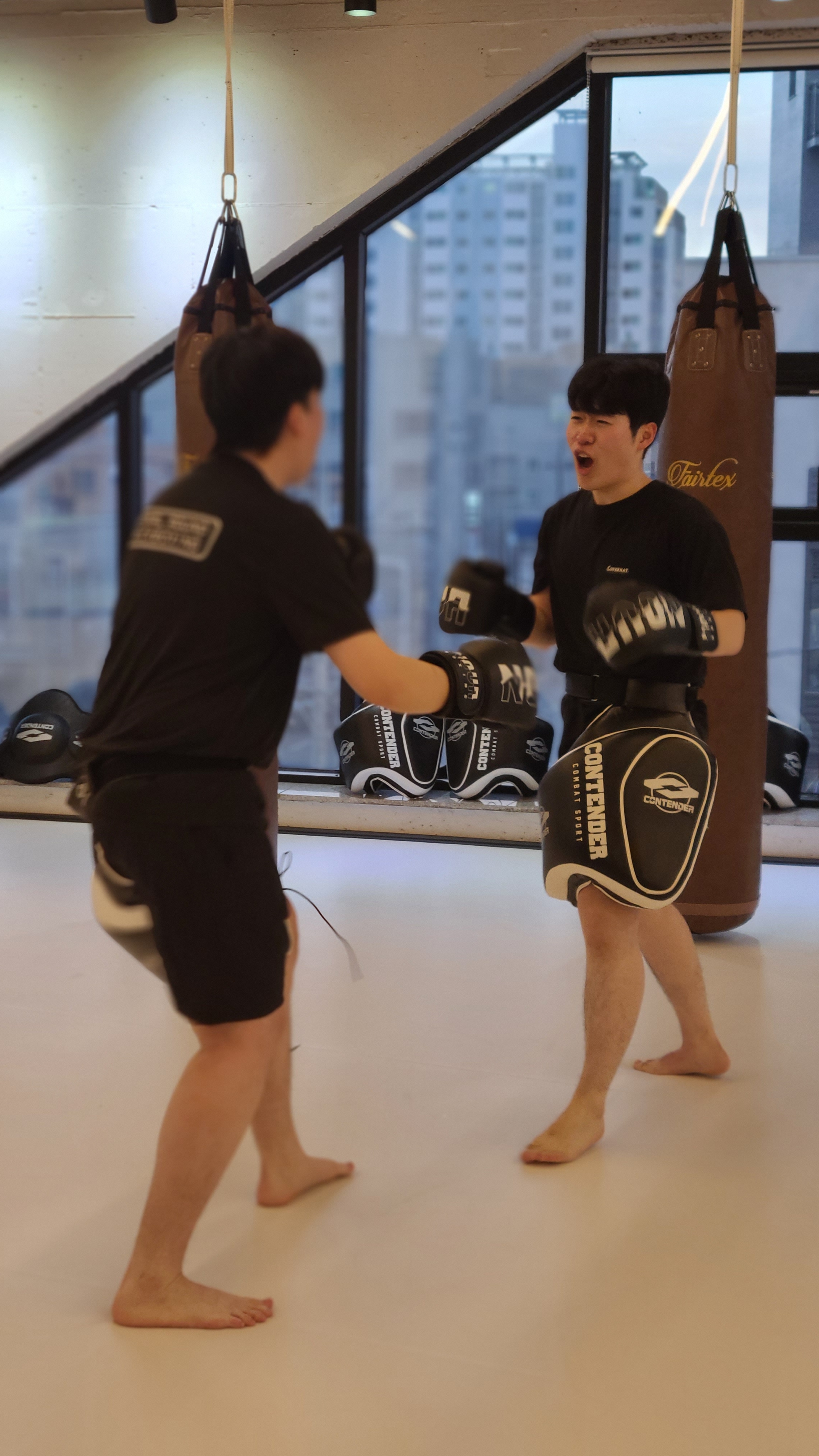 울산 남구 동산로 복싱체육관 파이널 라운드 내부 모습 3