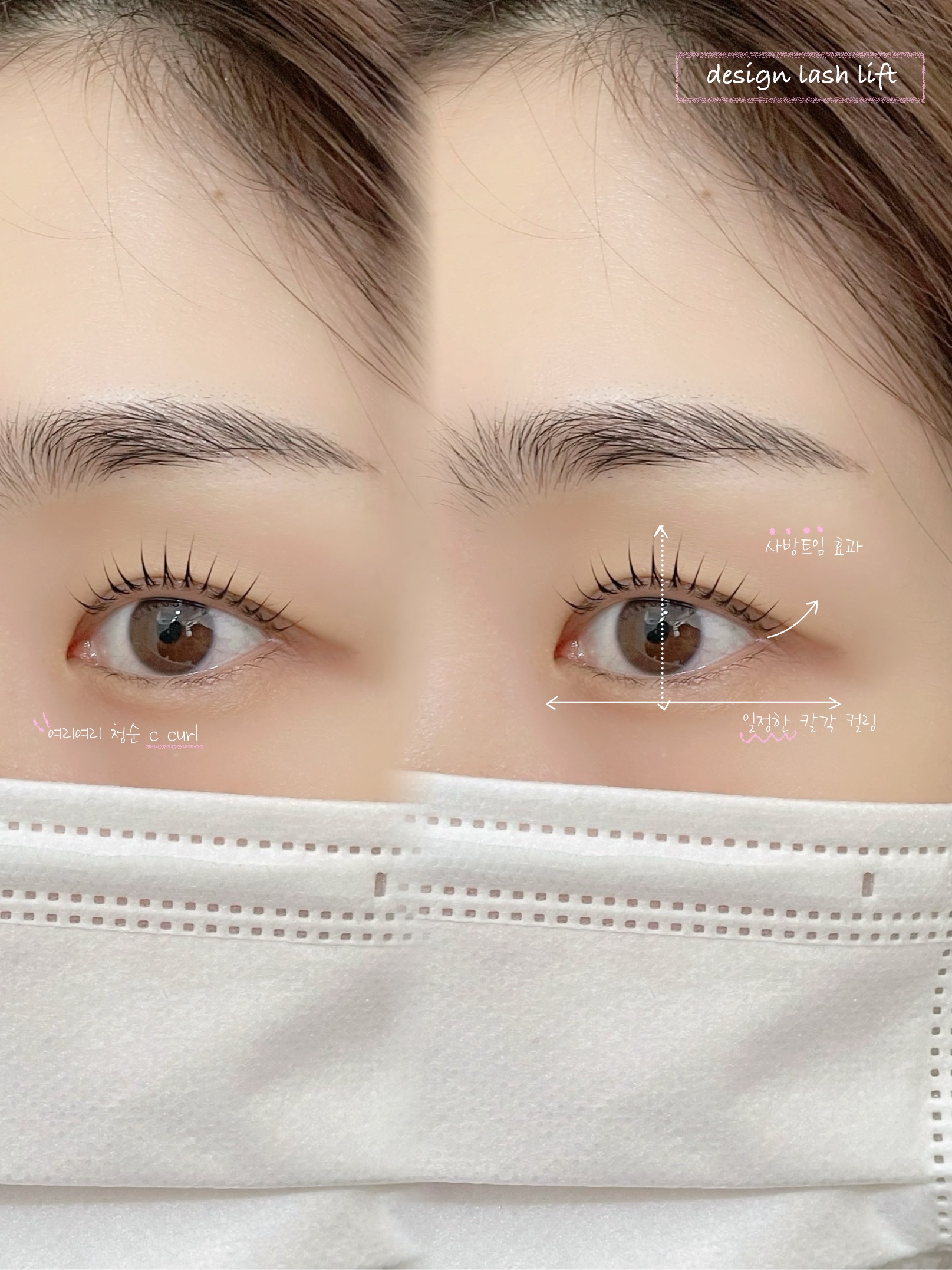 셀루아 대표 이미지