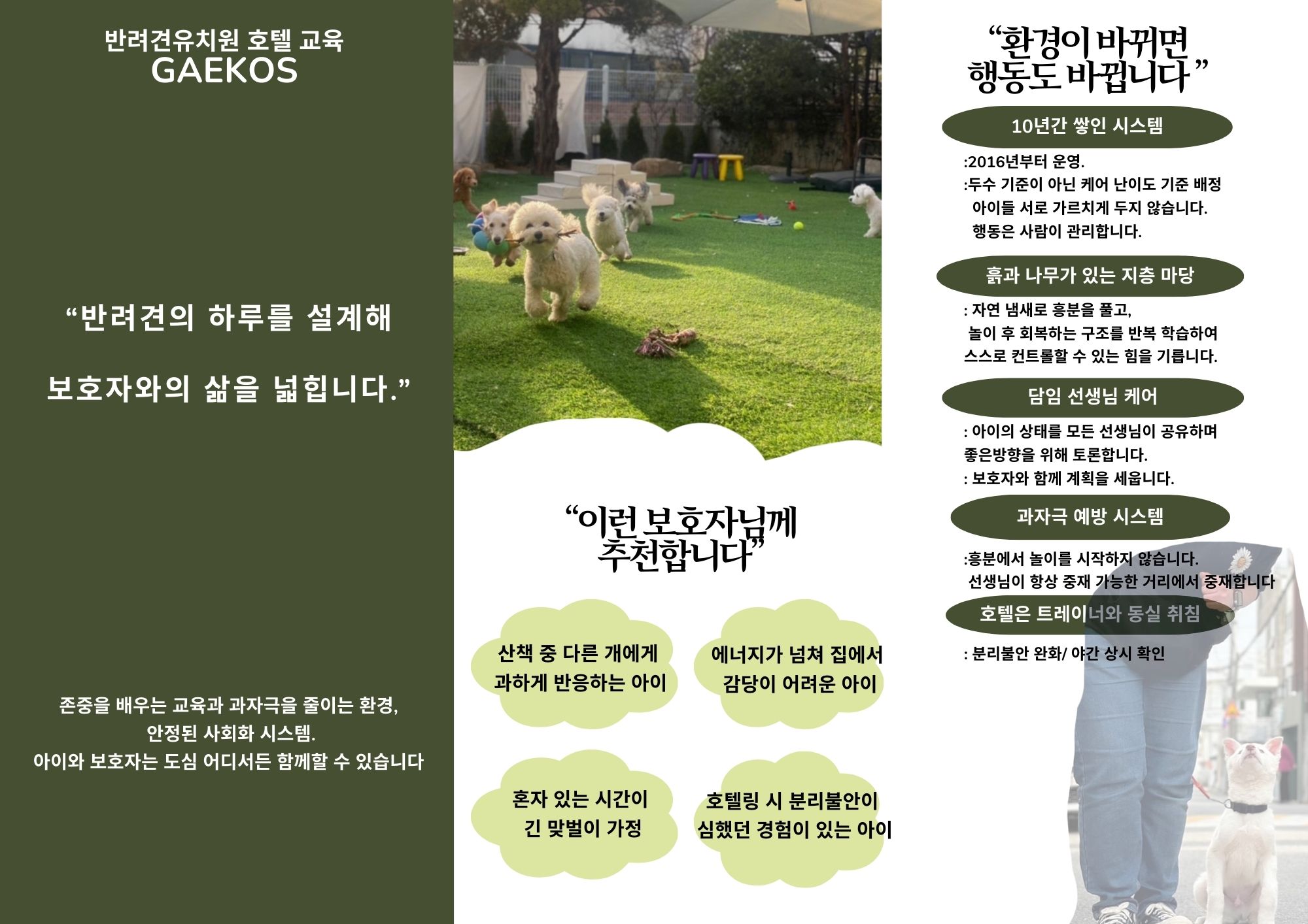 개코스 대표 이미지