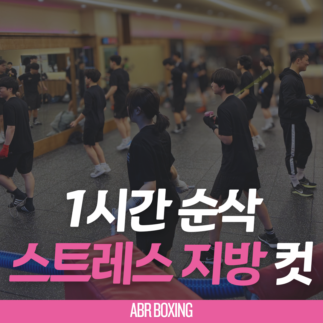 경상남도 창원시 진해구 복싱체육관 올바른복싱 내부 모습 2