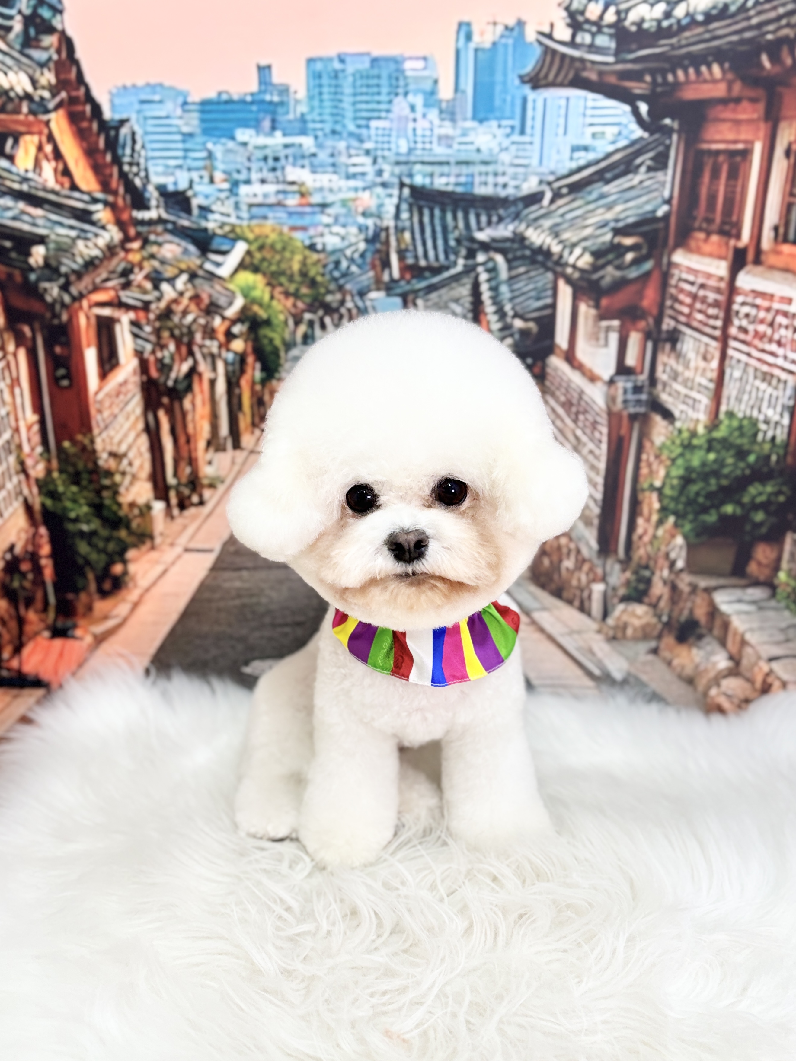 마릴린펫 대표 이미지