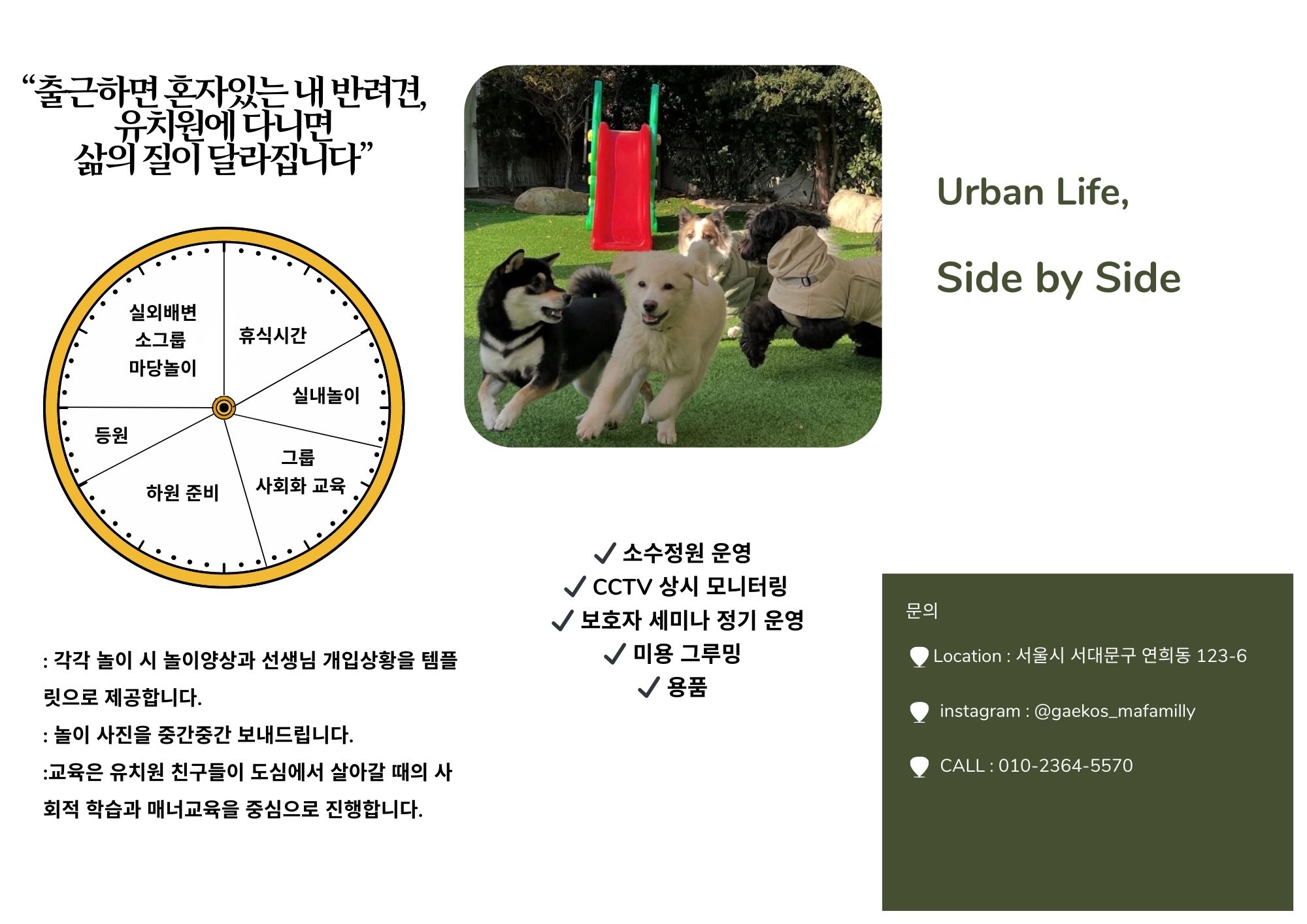 개코스 대표 이미지