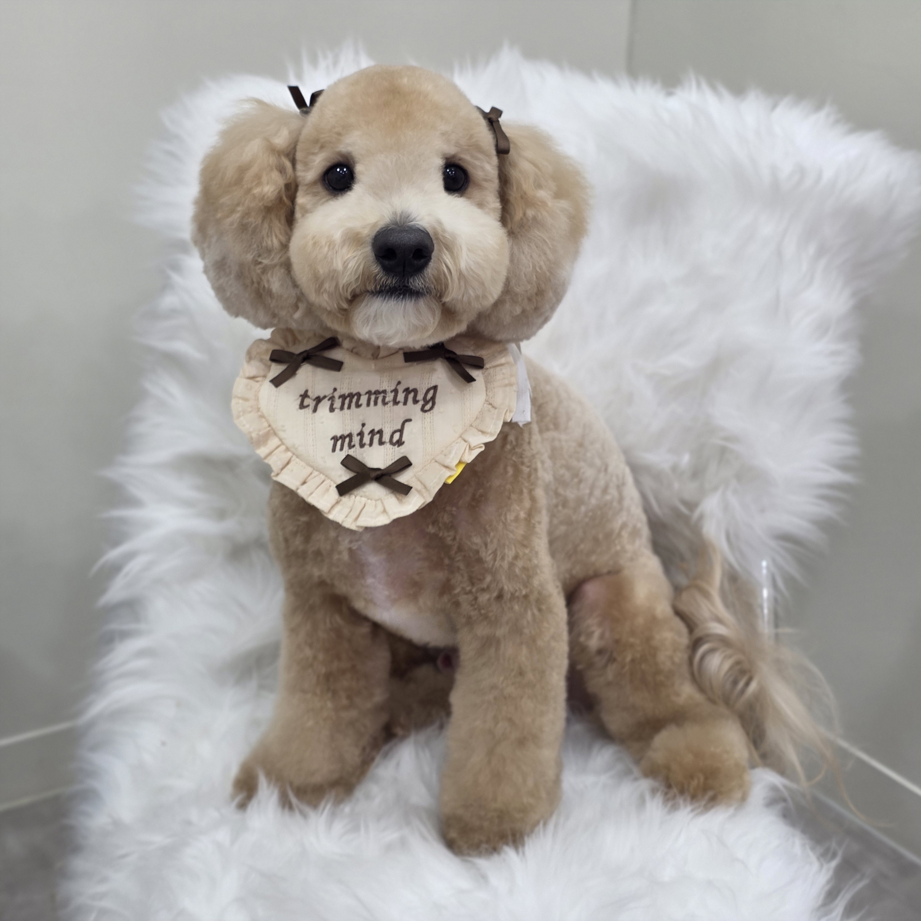 트리밍마인드 대표 이미지