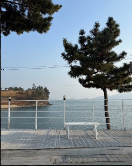 럭셔리