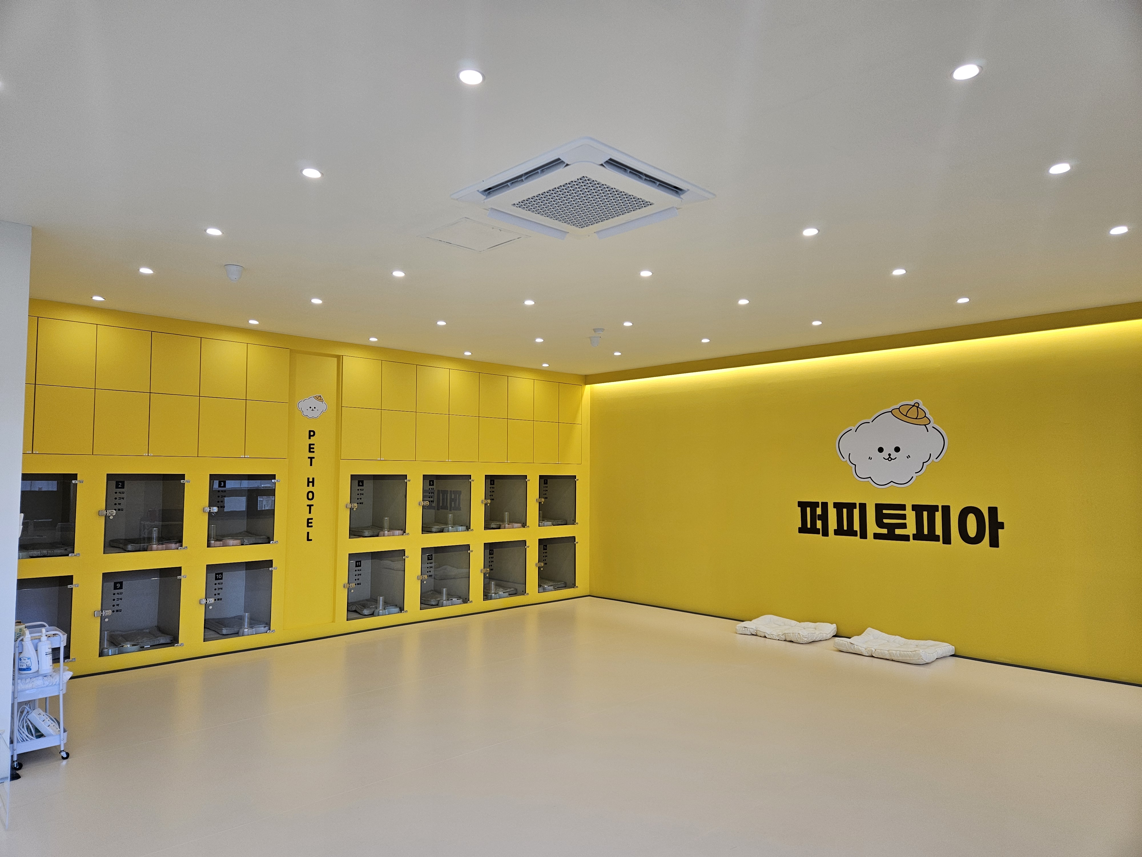 사진 4