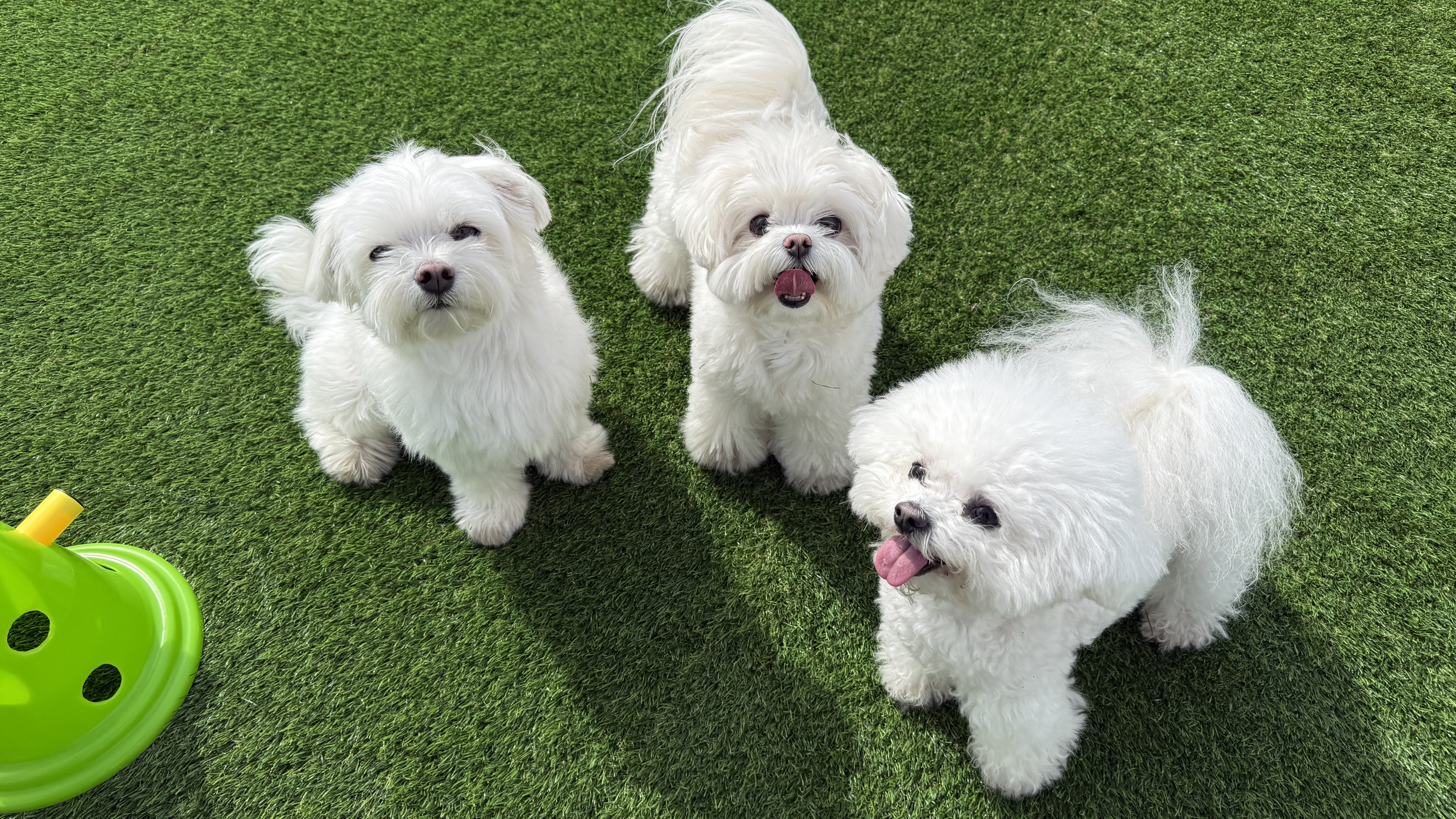 사진 3
