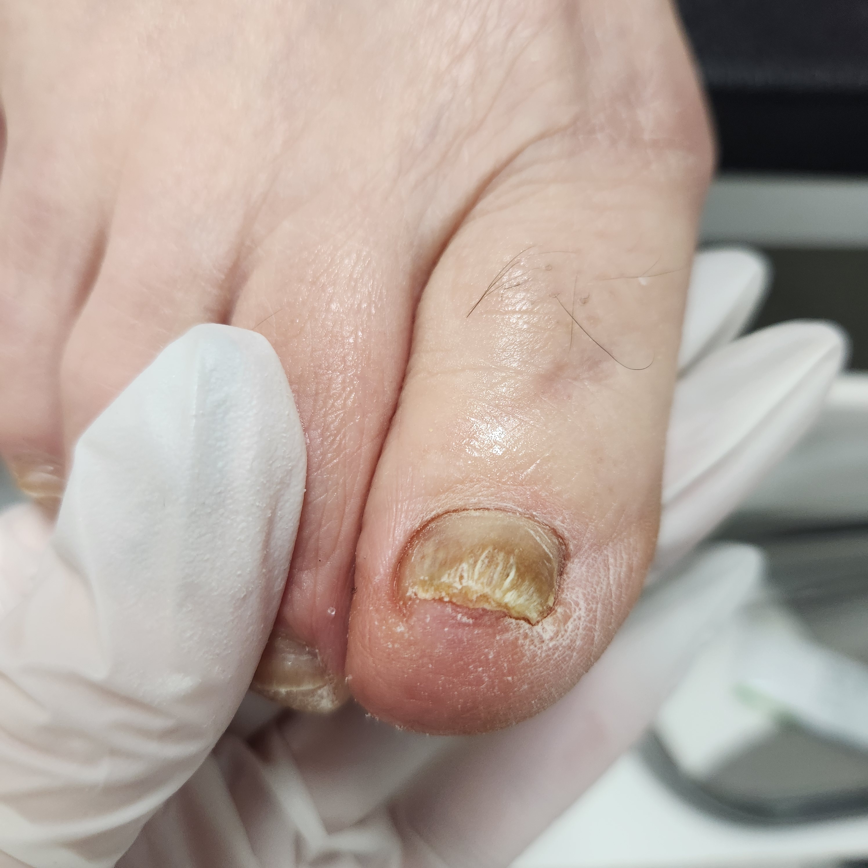 네일리 대표 이미지